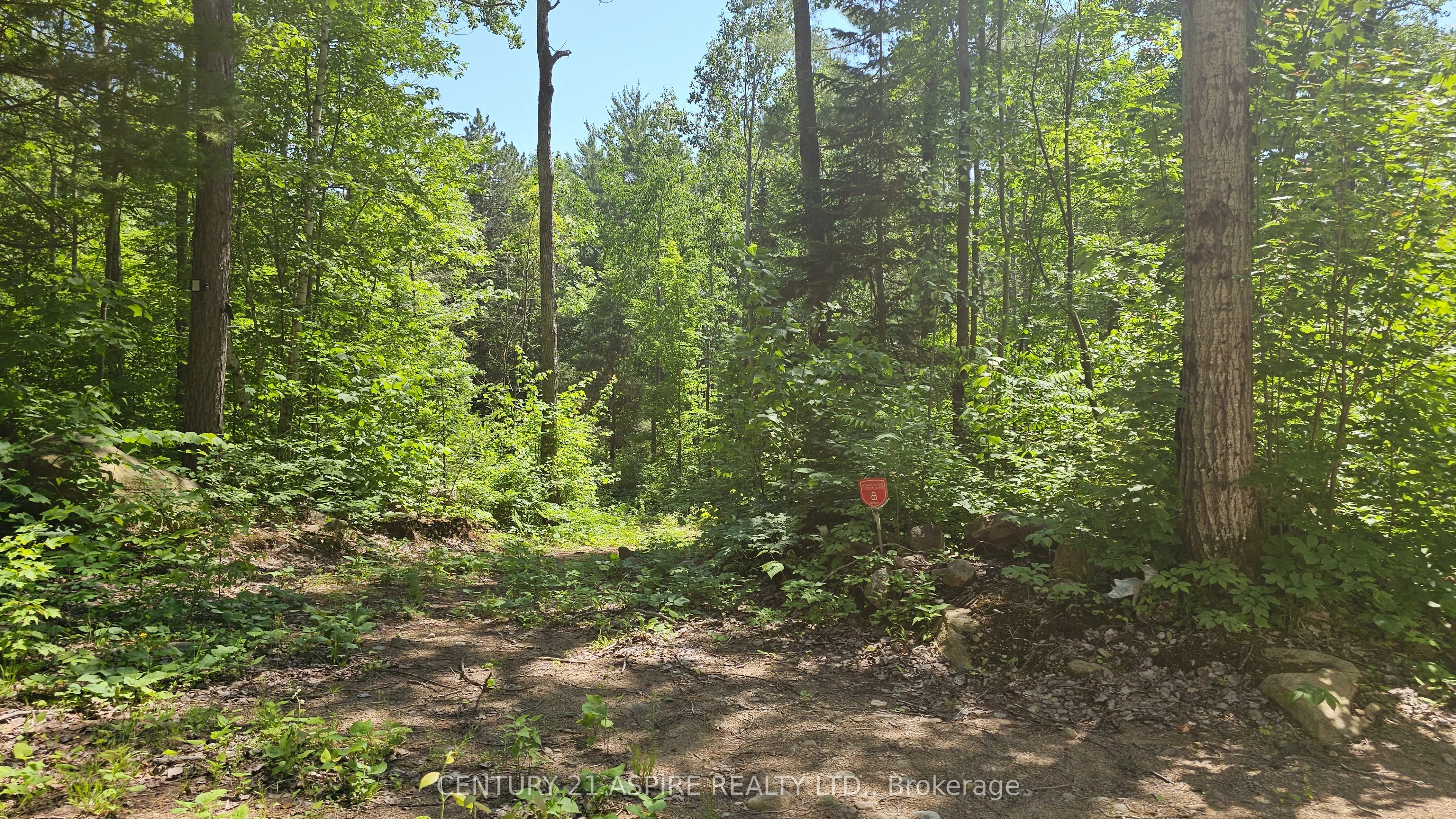 11072 Opeongo Road