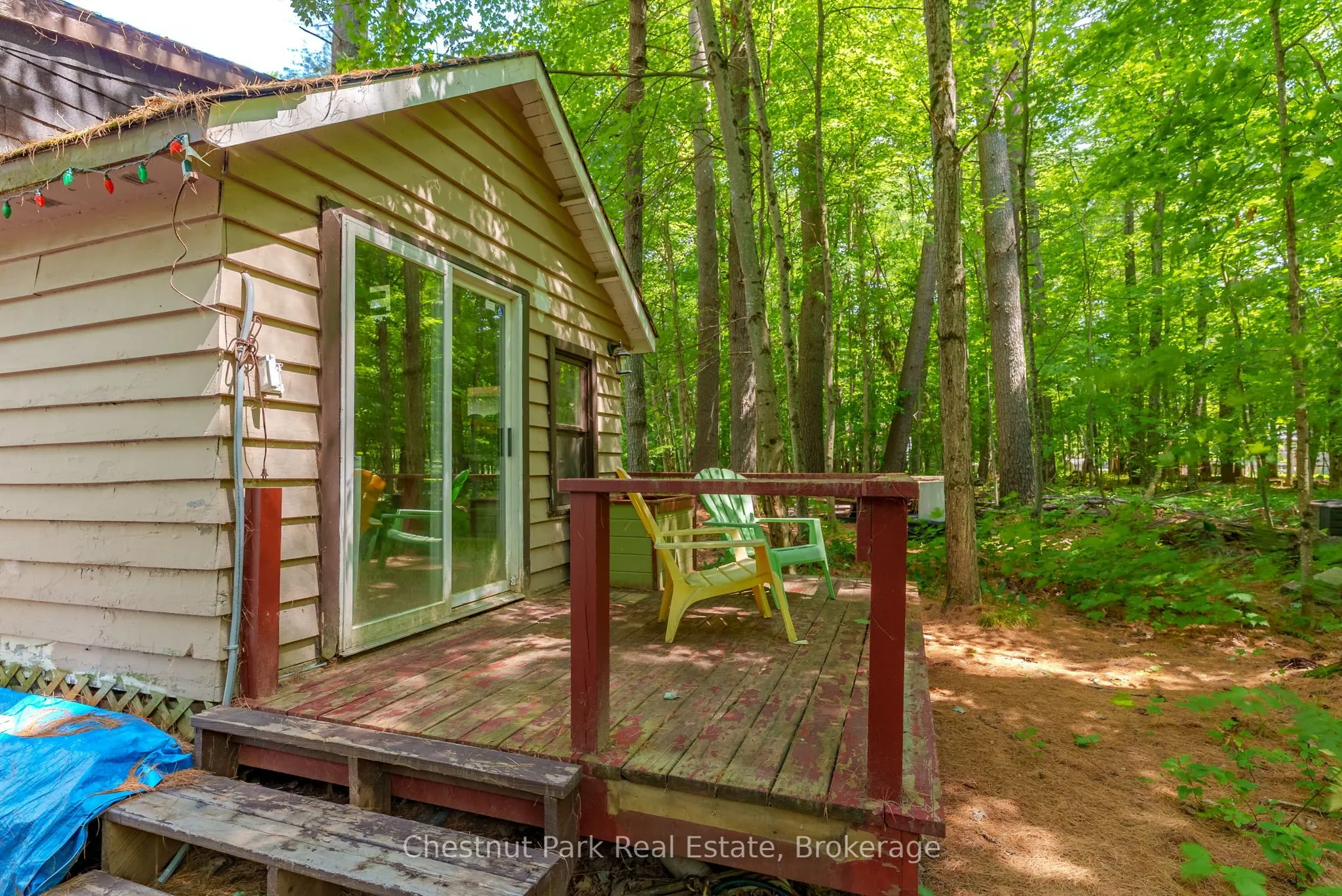 869 Muskoka Road 10