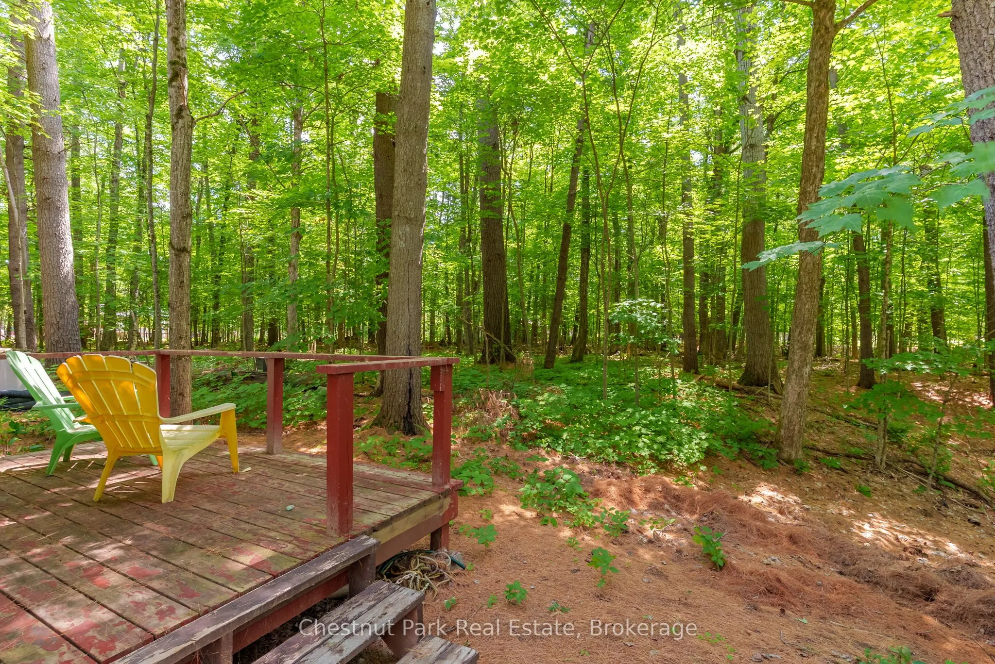869 Muskoka Road 10