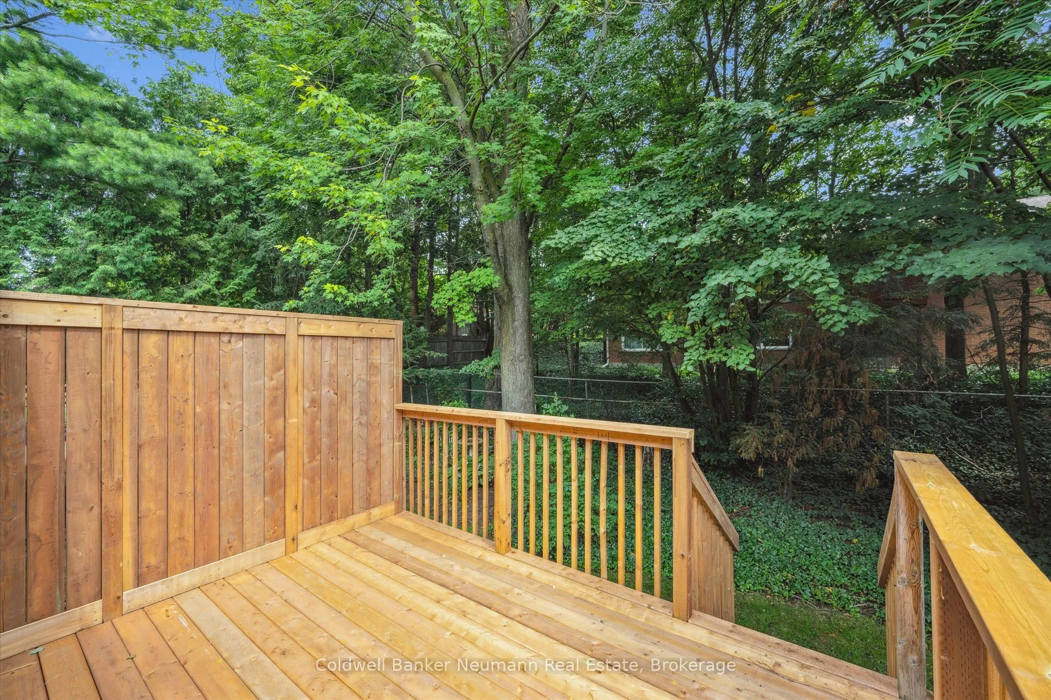 784 Gordon Street, #17
