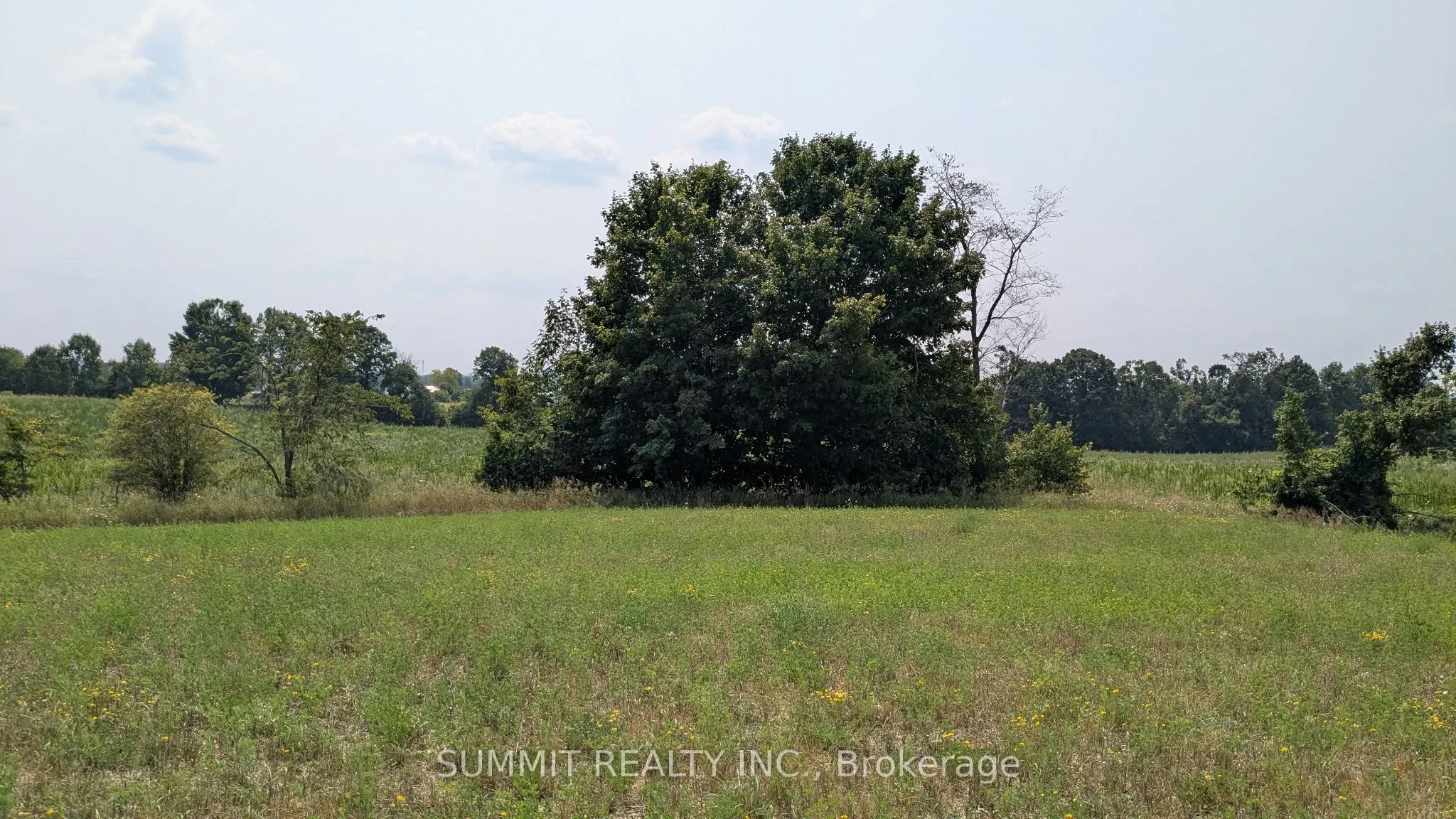 16419 Hwy 62