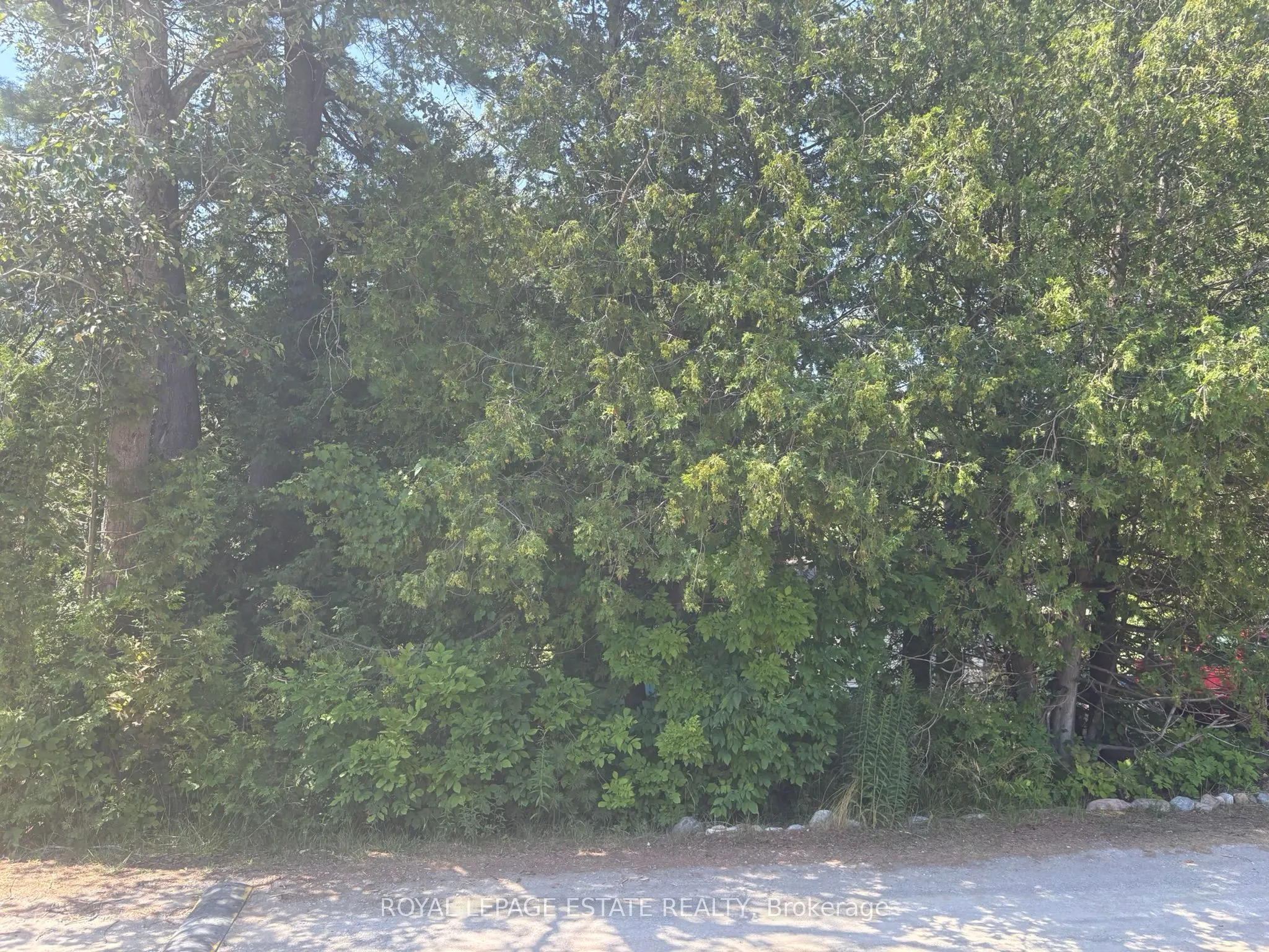 38 Pinnacle Hill Road