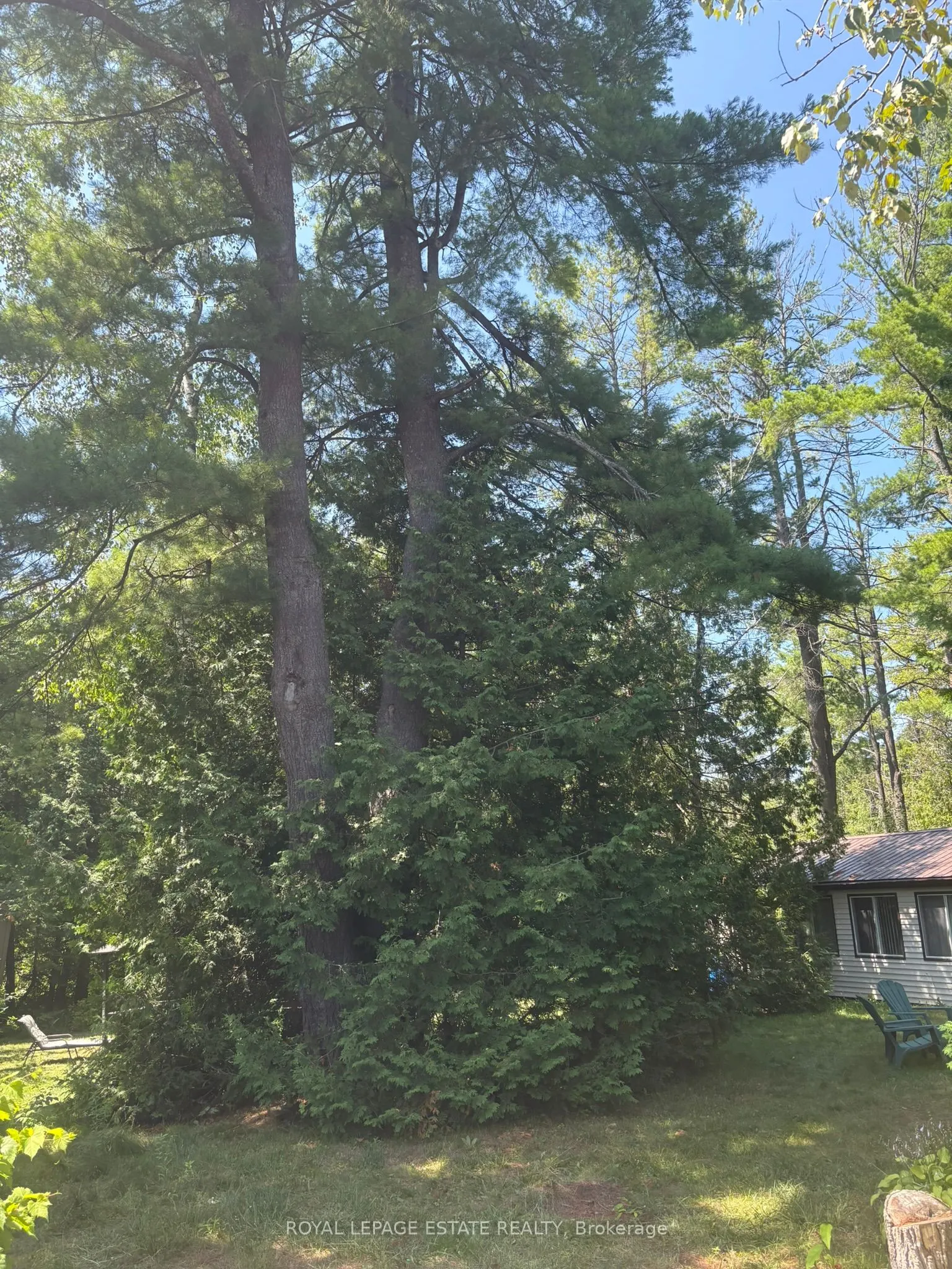38 Pinnacle Hill Road