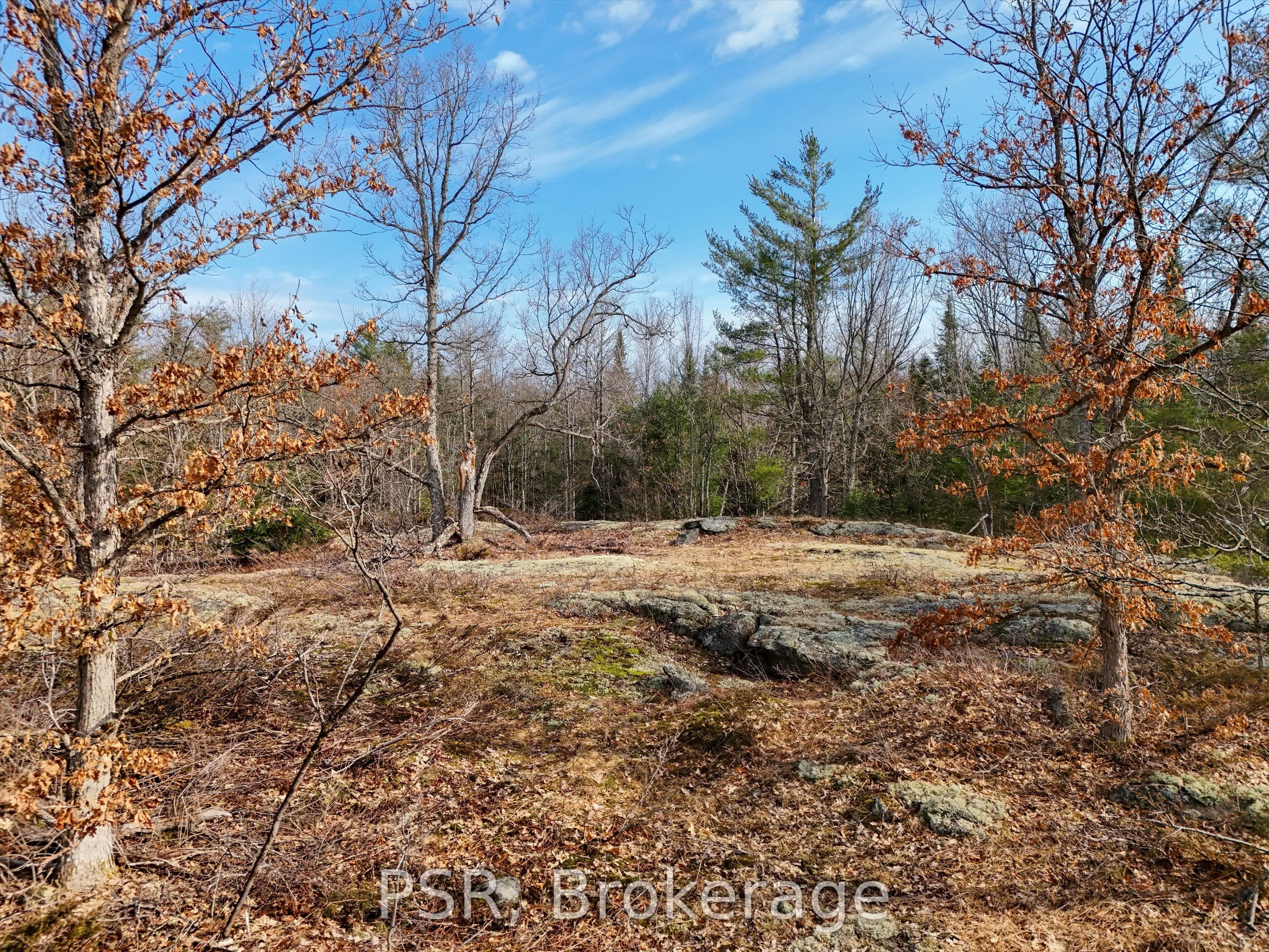 3410 Southwood Road