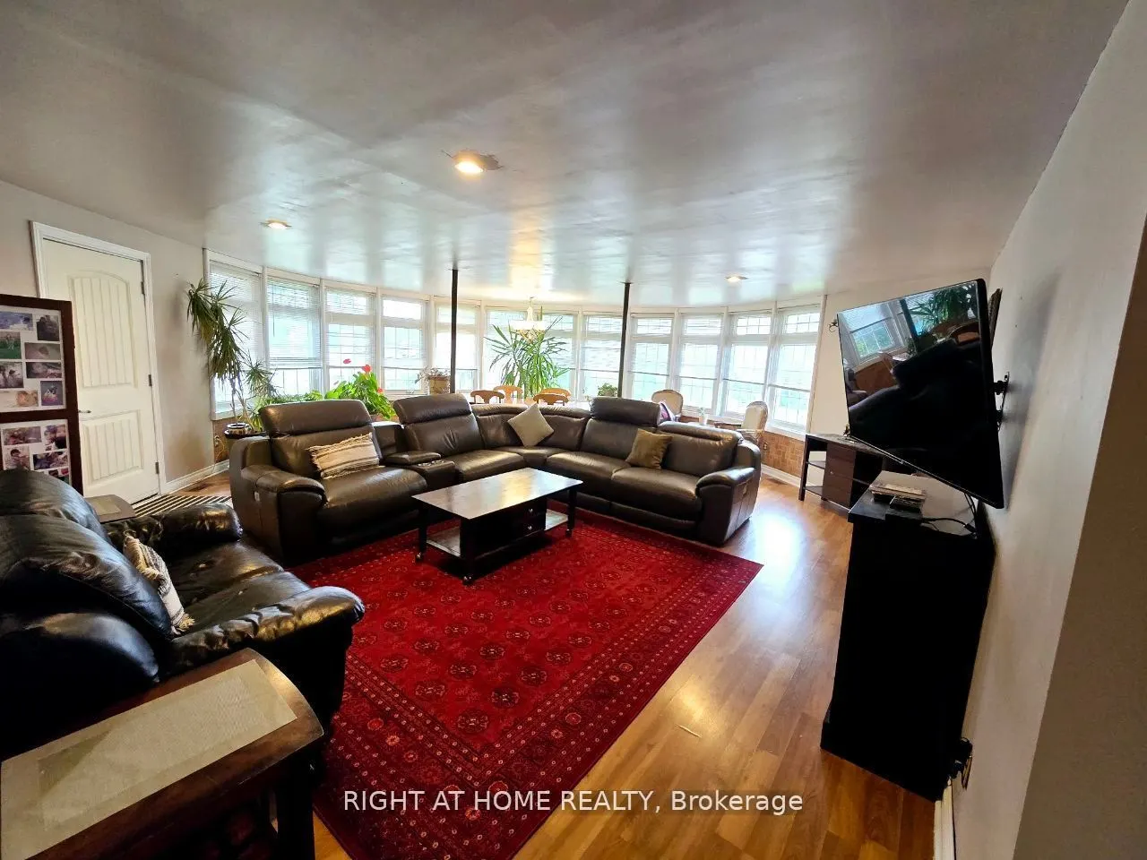 1196 Rainbow Street