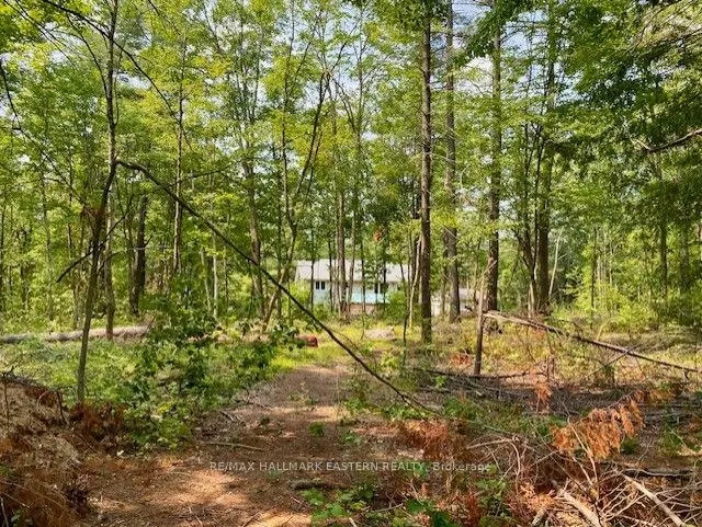 39 Buckhorn Narrows Road