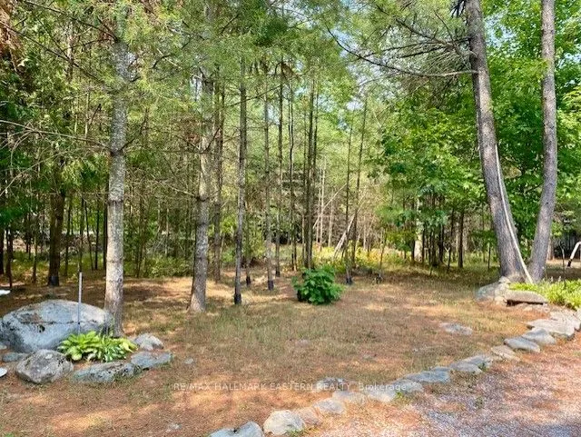 39 Buckhorn Narrows Road