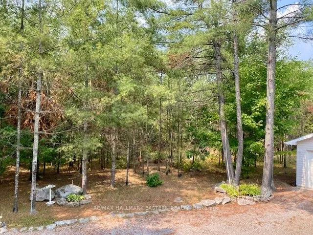 39 Buckhorn Narrows Road