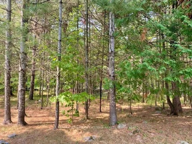 39 Buckhorn Narrows Road