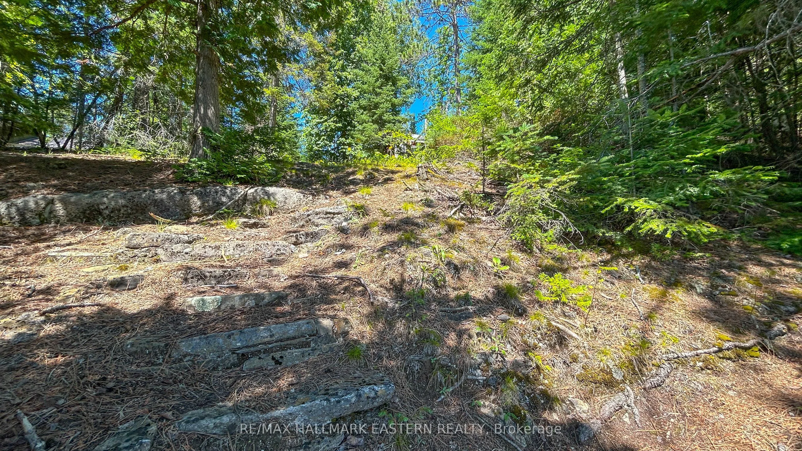 0 Trout Lake Road
