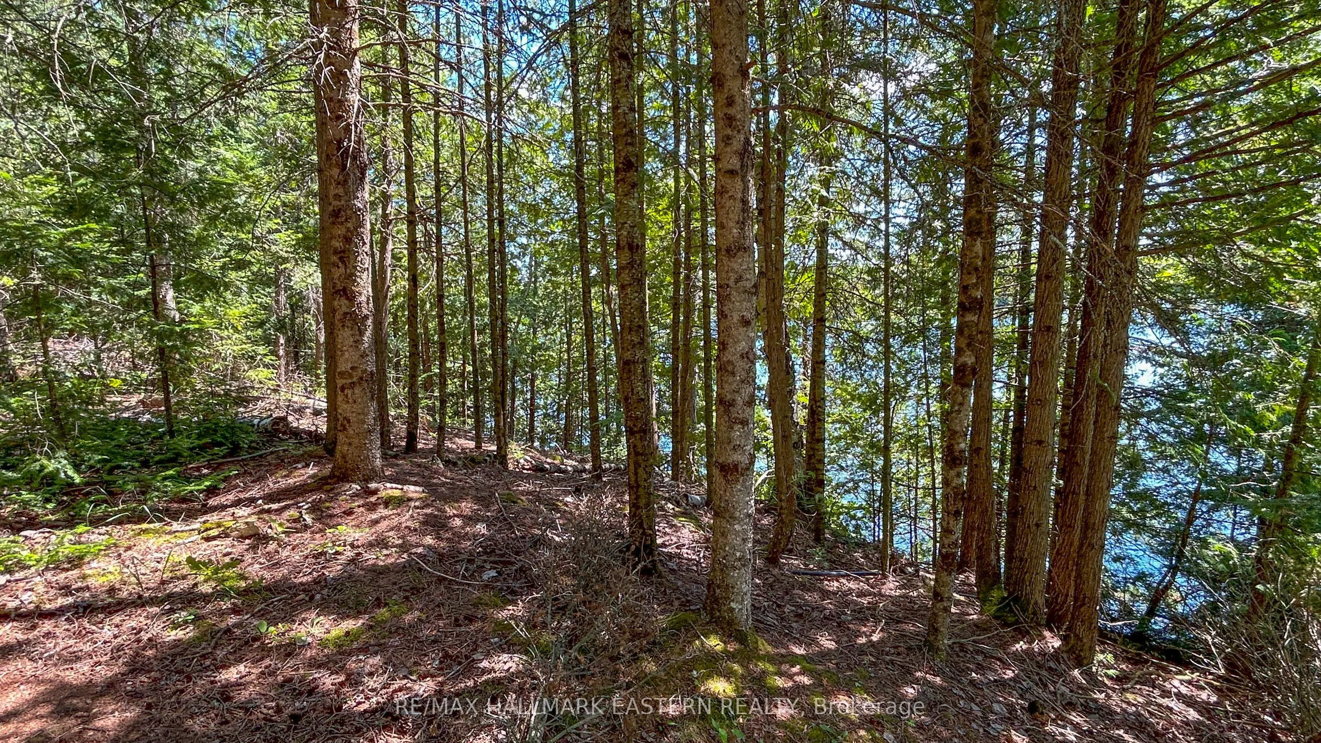 0 Trout Lake Road