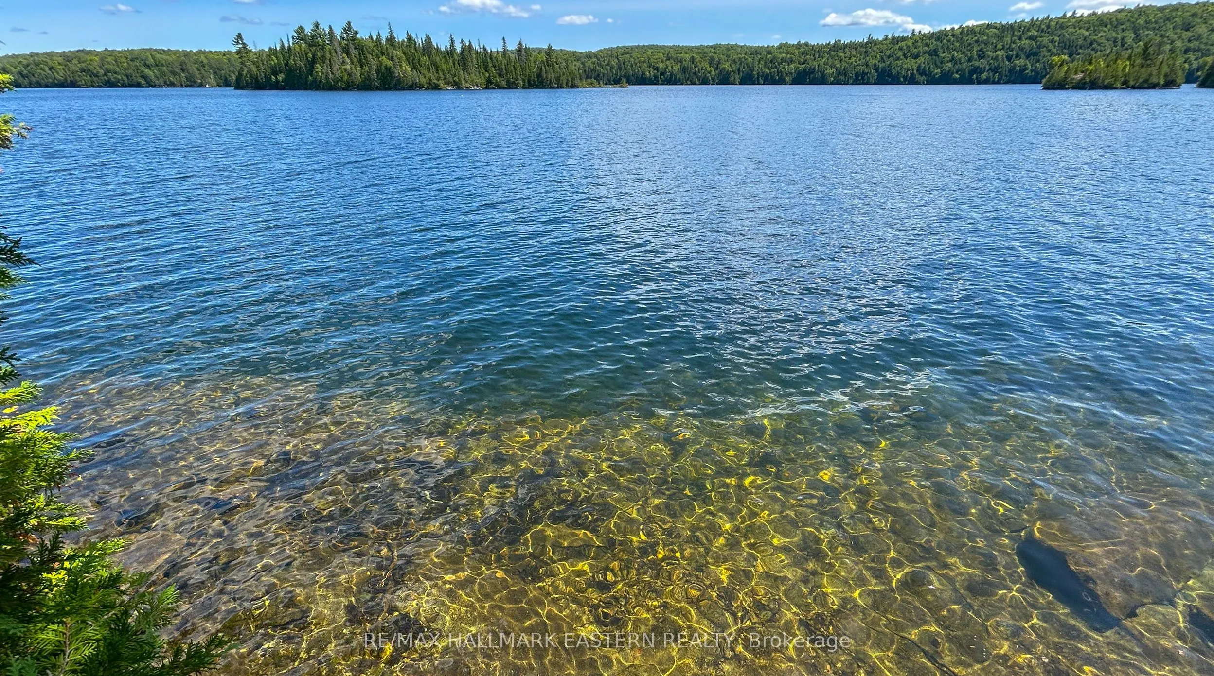 0 Trout Lake Road