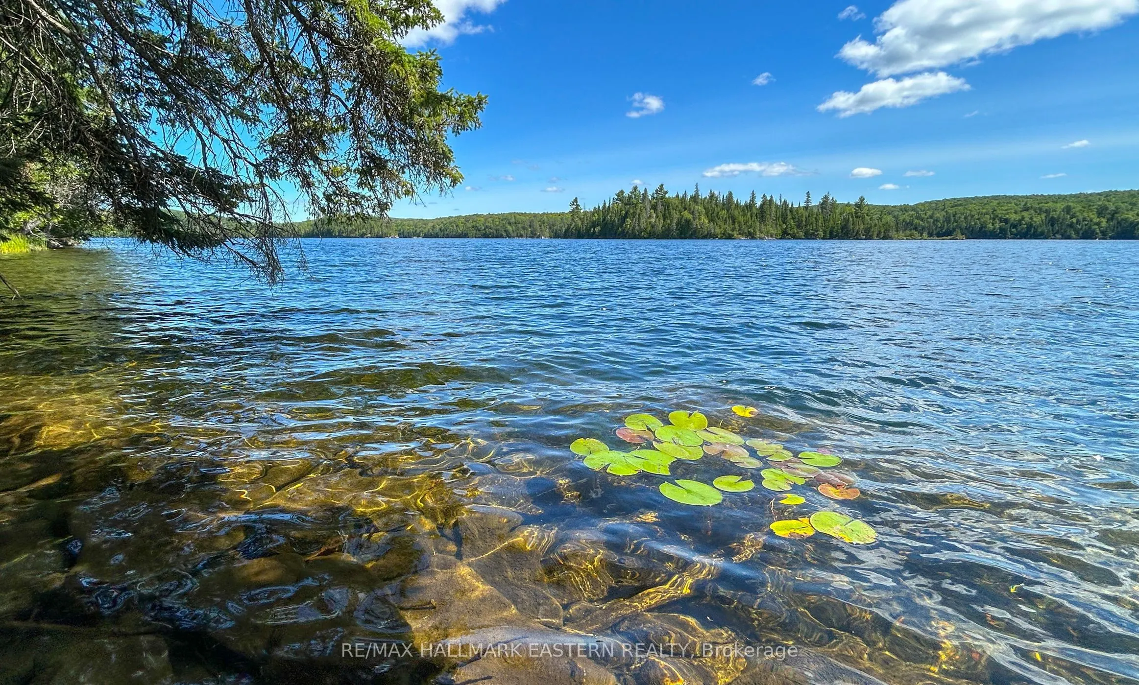 0 Trout Lake Road