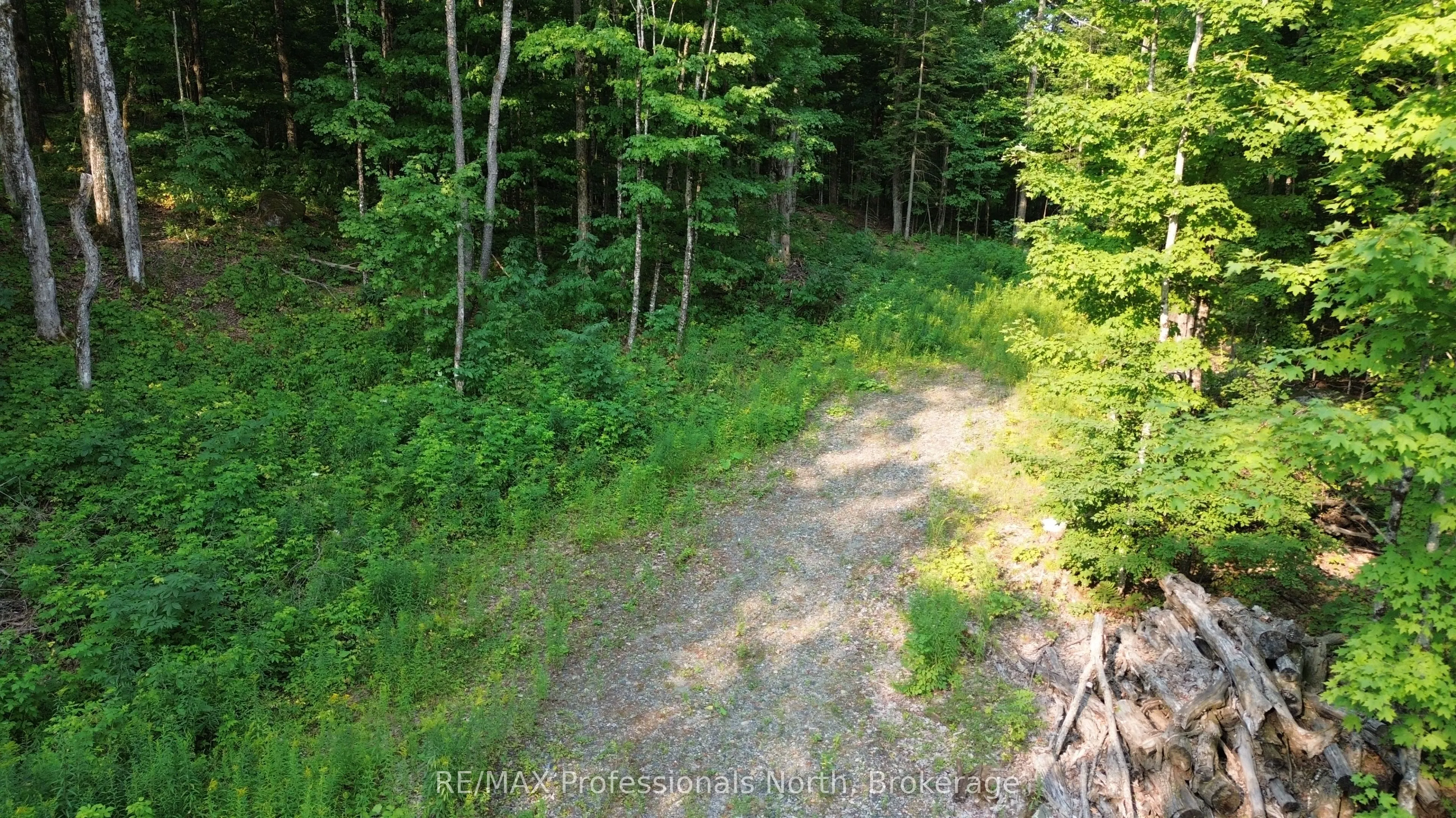 1037 Loon Lake Road