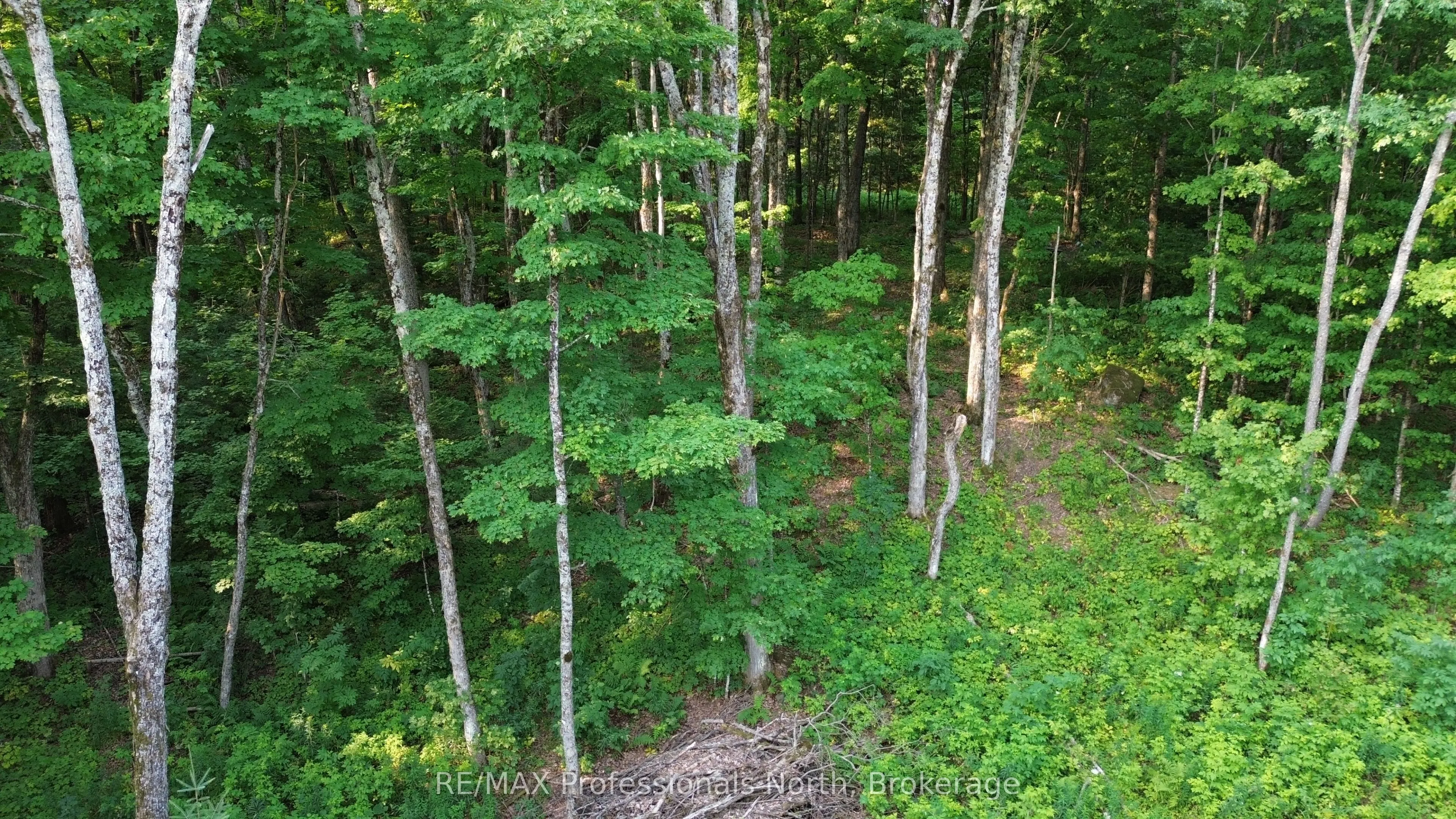 1037 Loon Lake Road