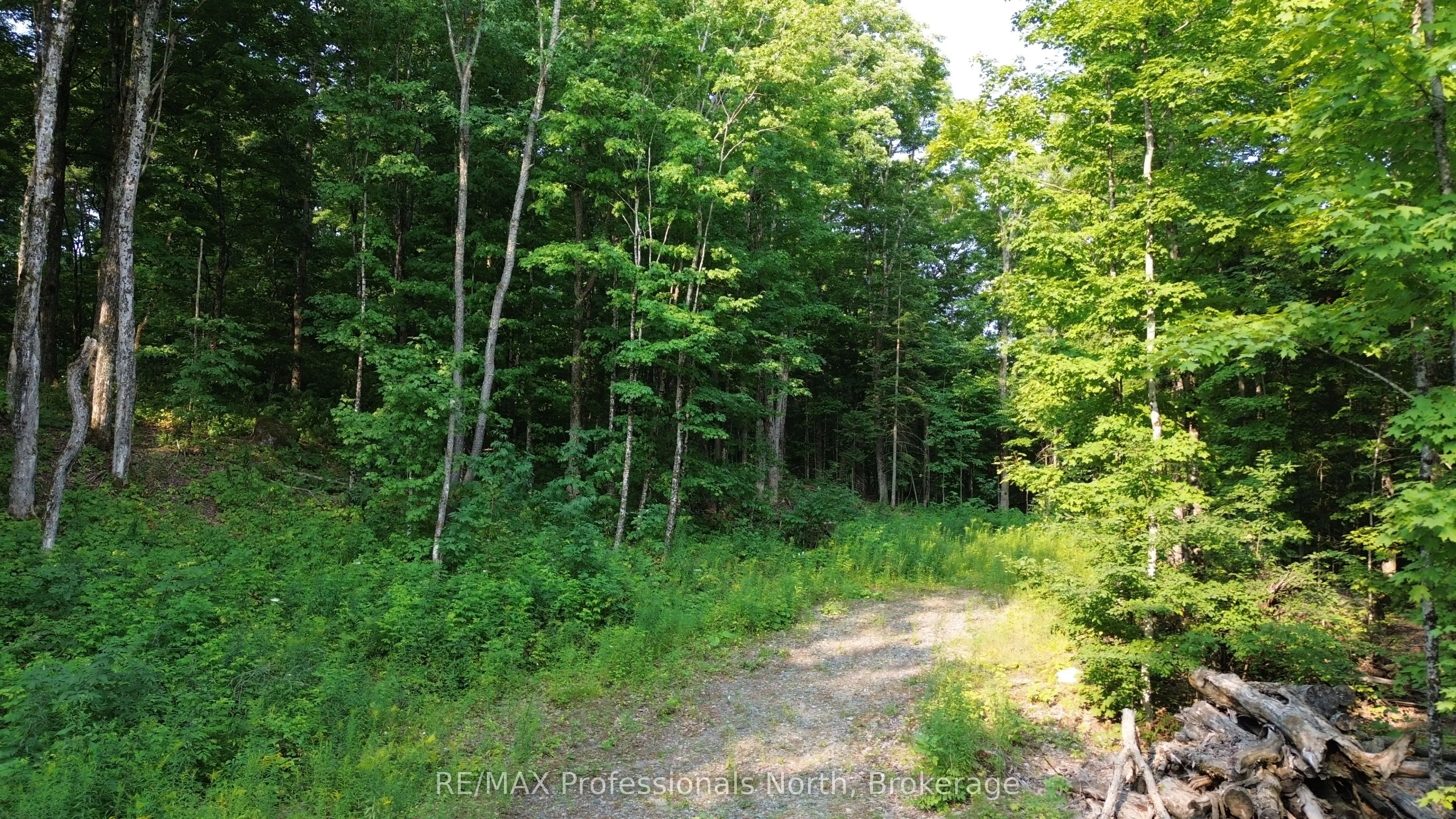 1037 Loon Lake Road