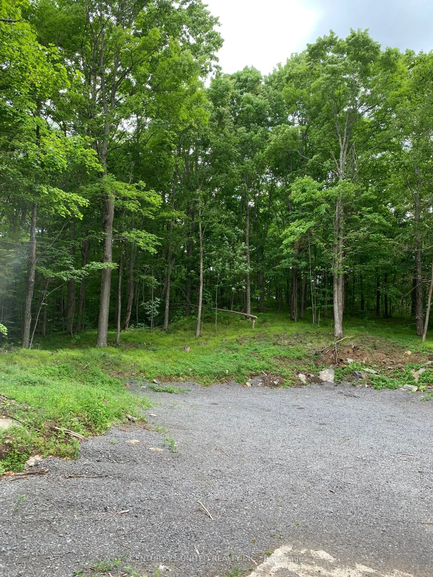 1282 Vansickle Road