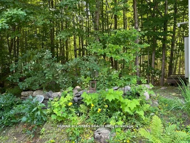 1802 County Rd 121, #LOT 312