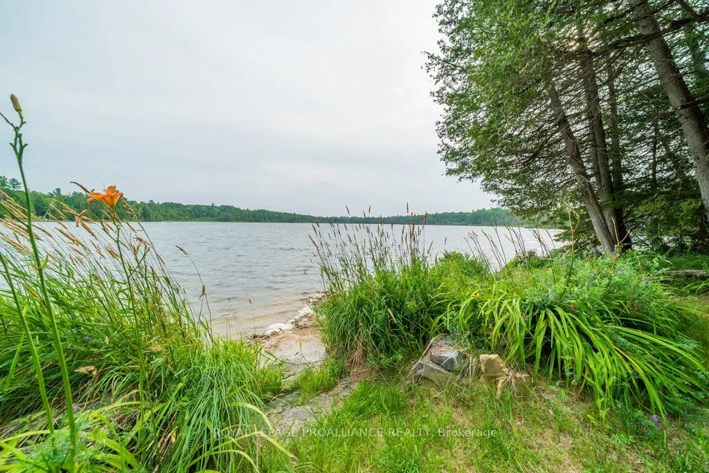 1087C Hills Lake Road
