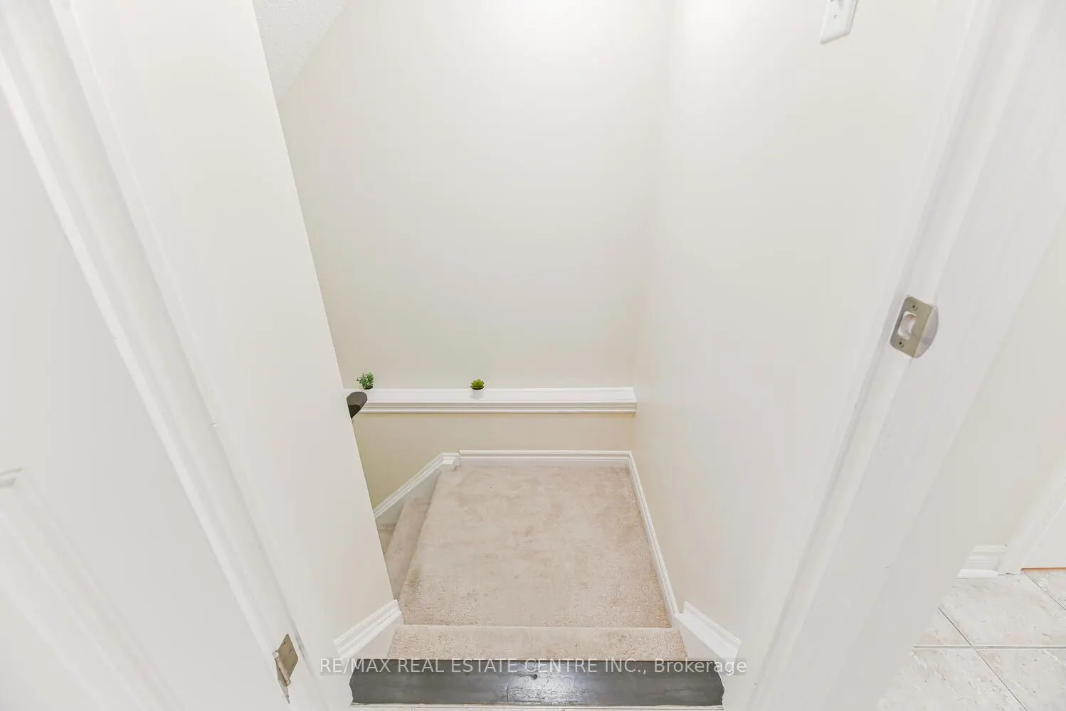535 Margaret Street, #4