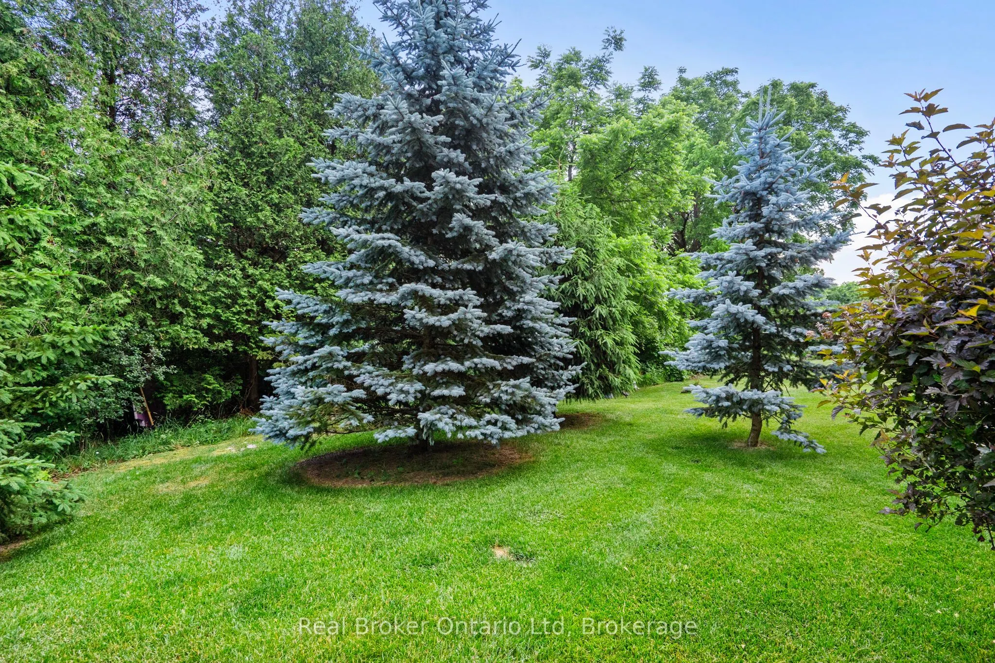 221 Millview Court