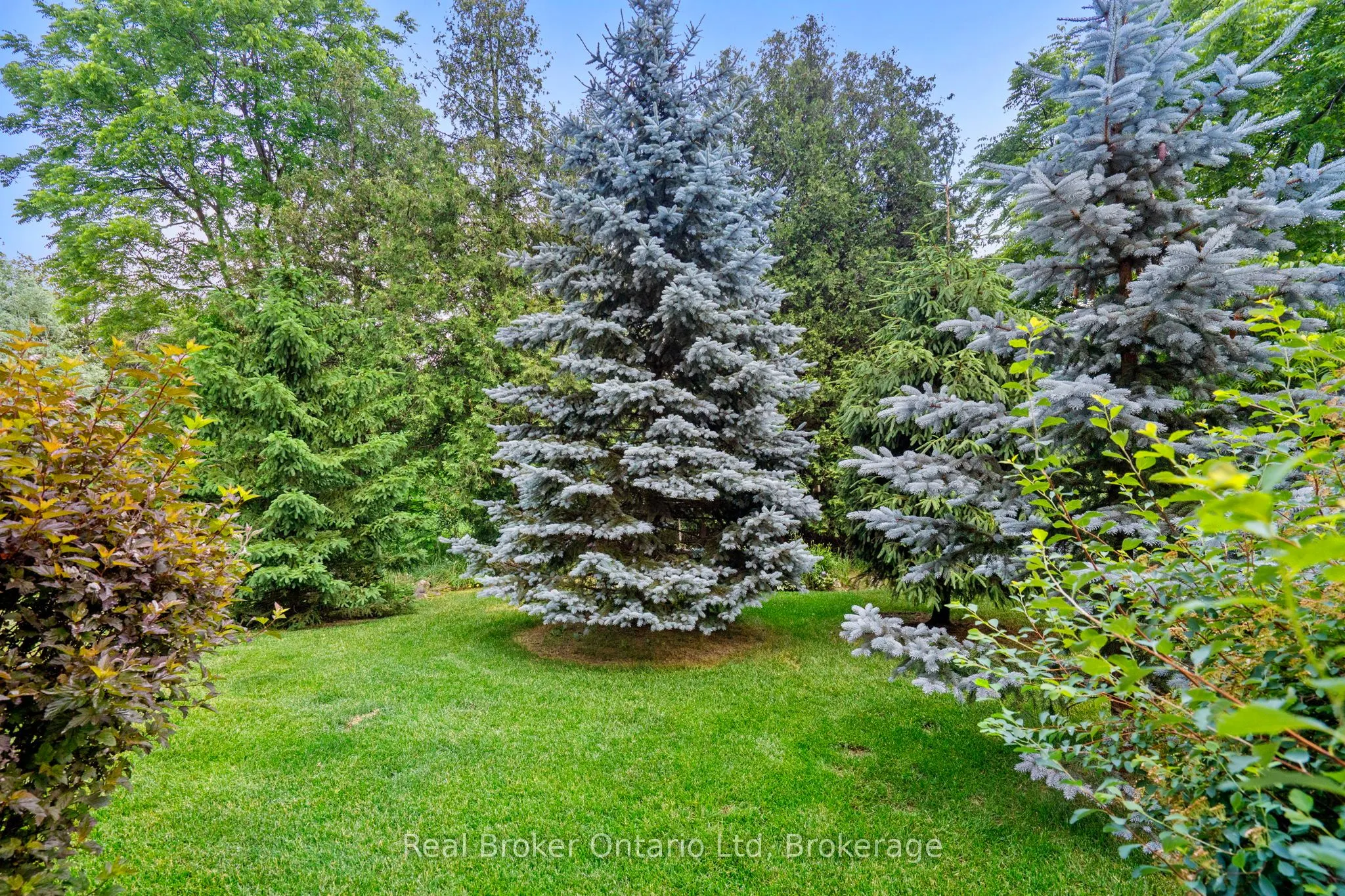 221 Millview Court