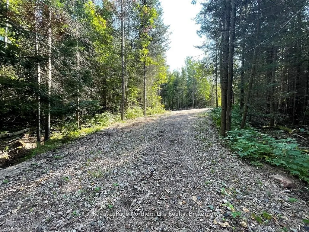 1945 ALSACE Road