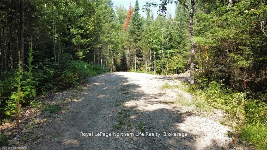 1945 ALSACE Road