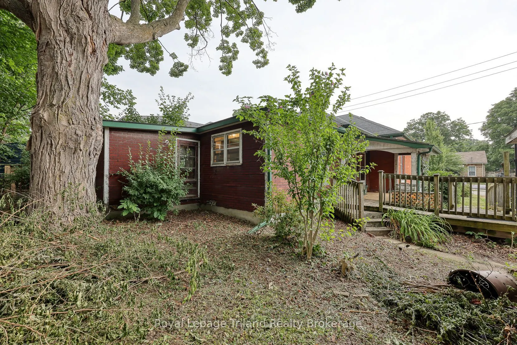 91 Winniett Street