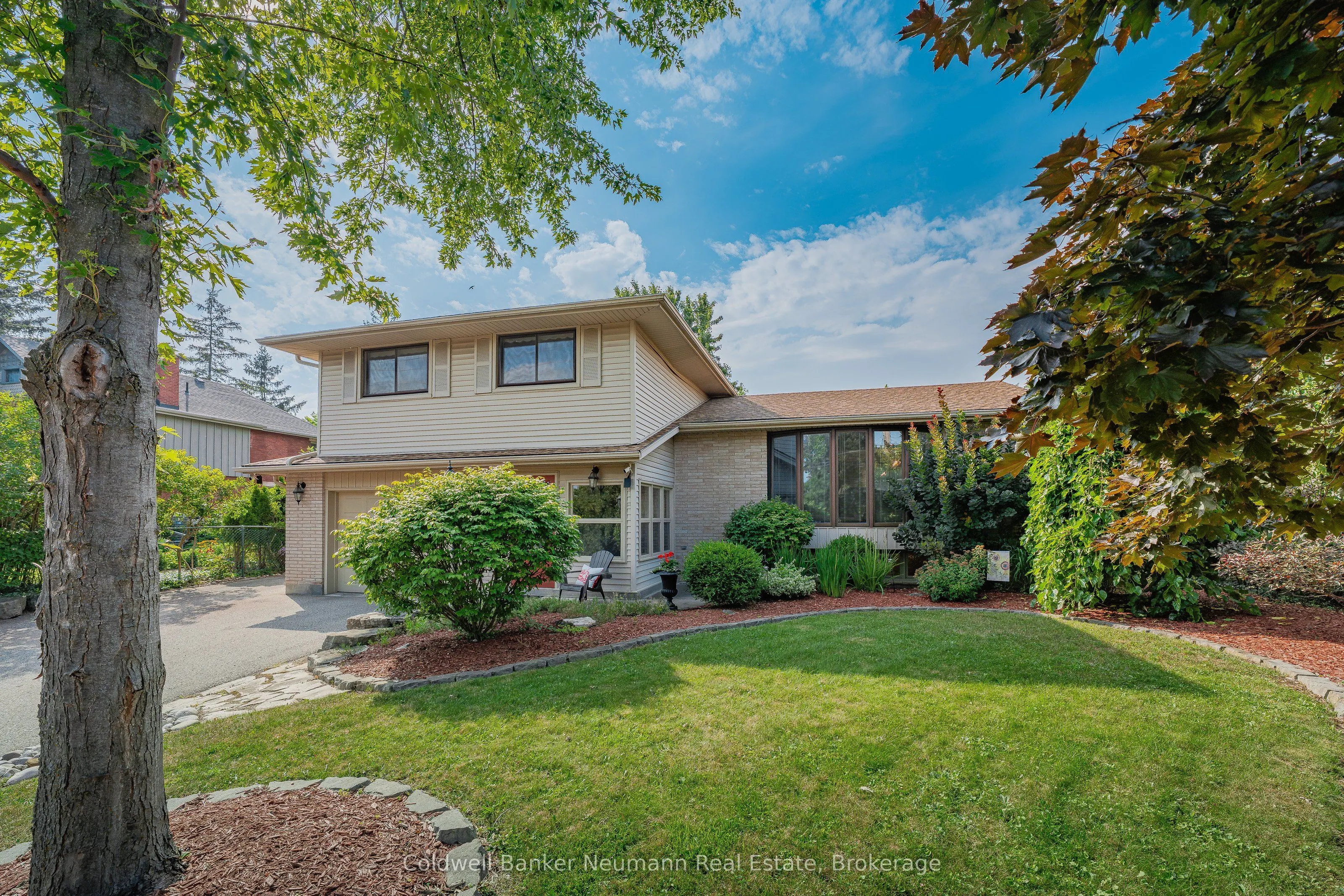 61 Bellevue Street
