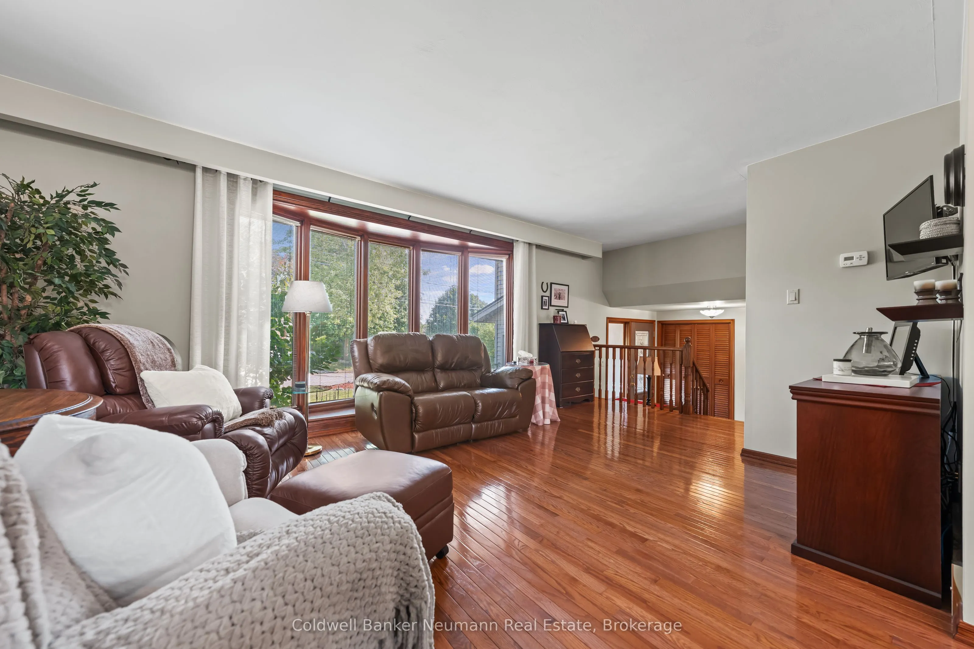 61 Bellevue Street