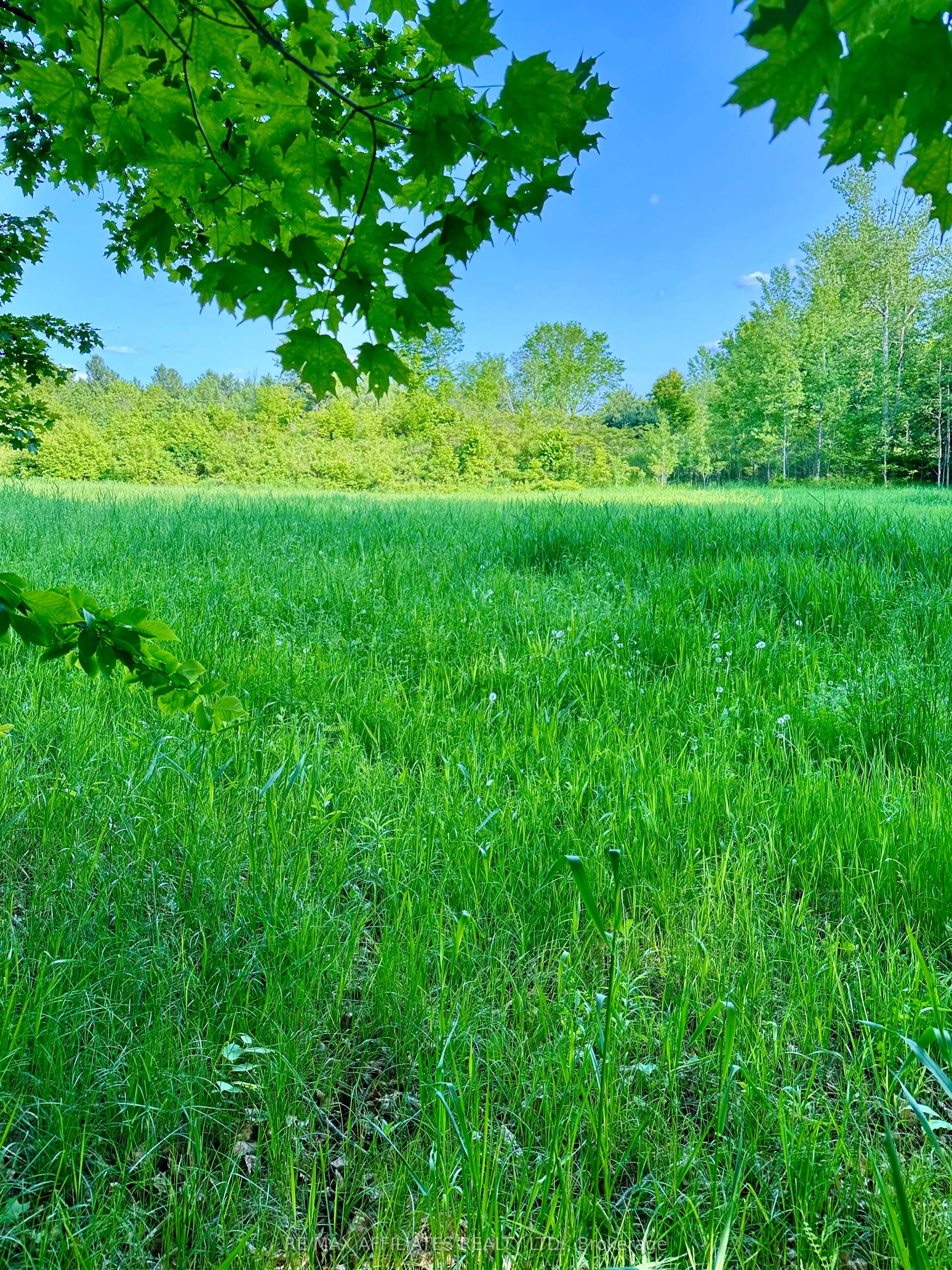 00 Long Lake Road