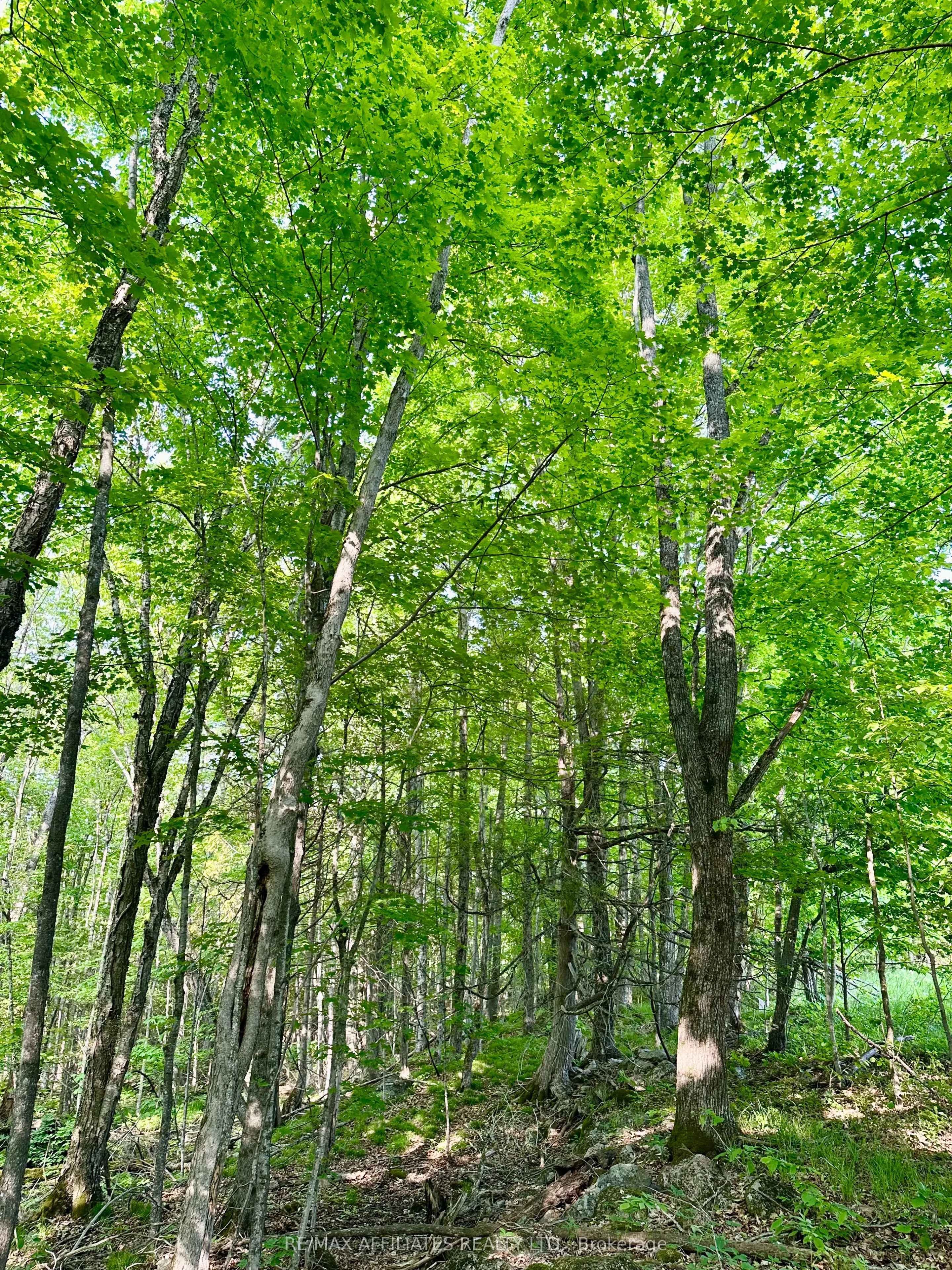 00 Long Lake Road