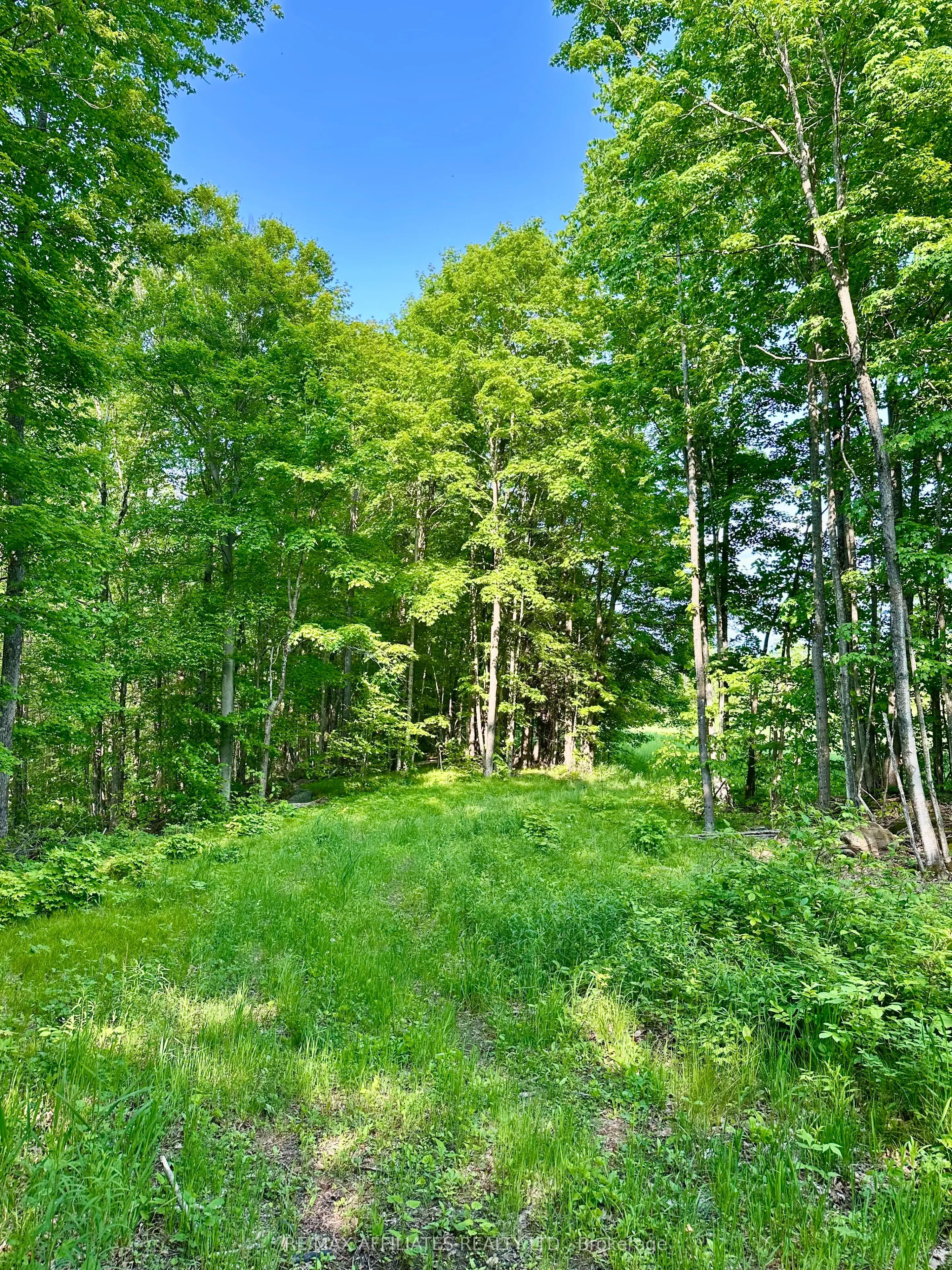 00 Long Lake Road