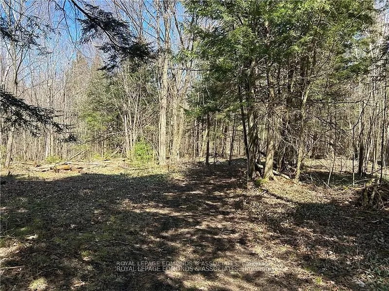 00 Old Mine Road