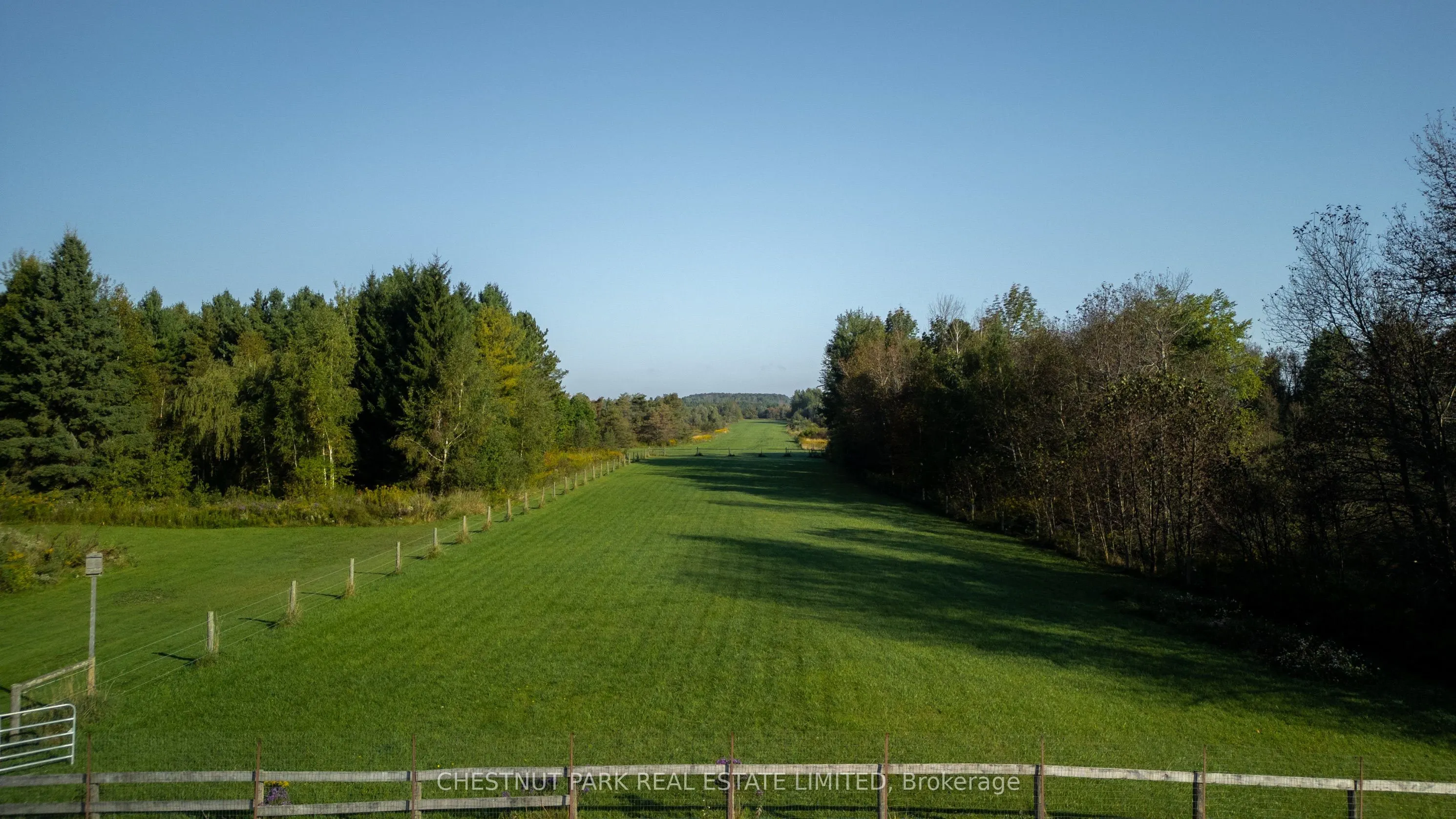 385081 20 Side Road