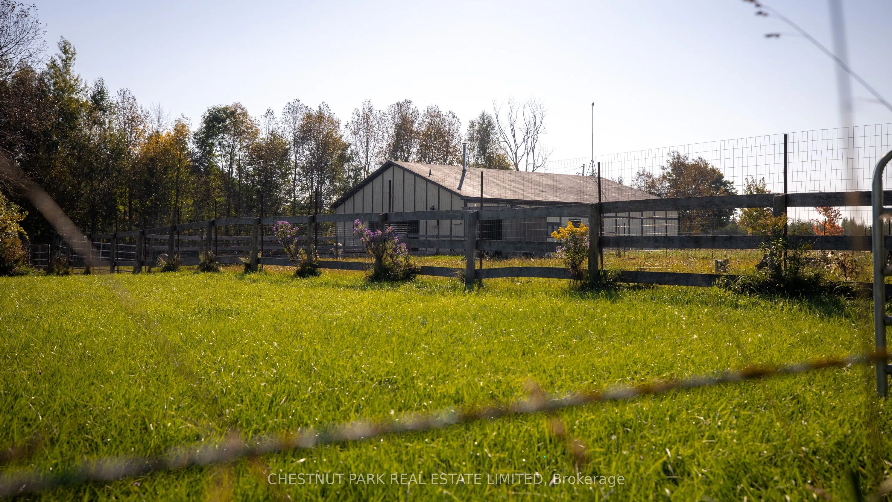 385081 20 Side Road