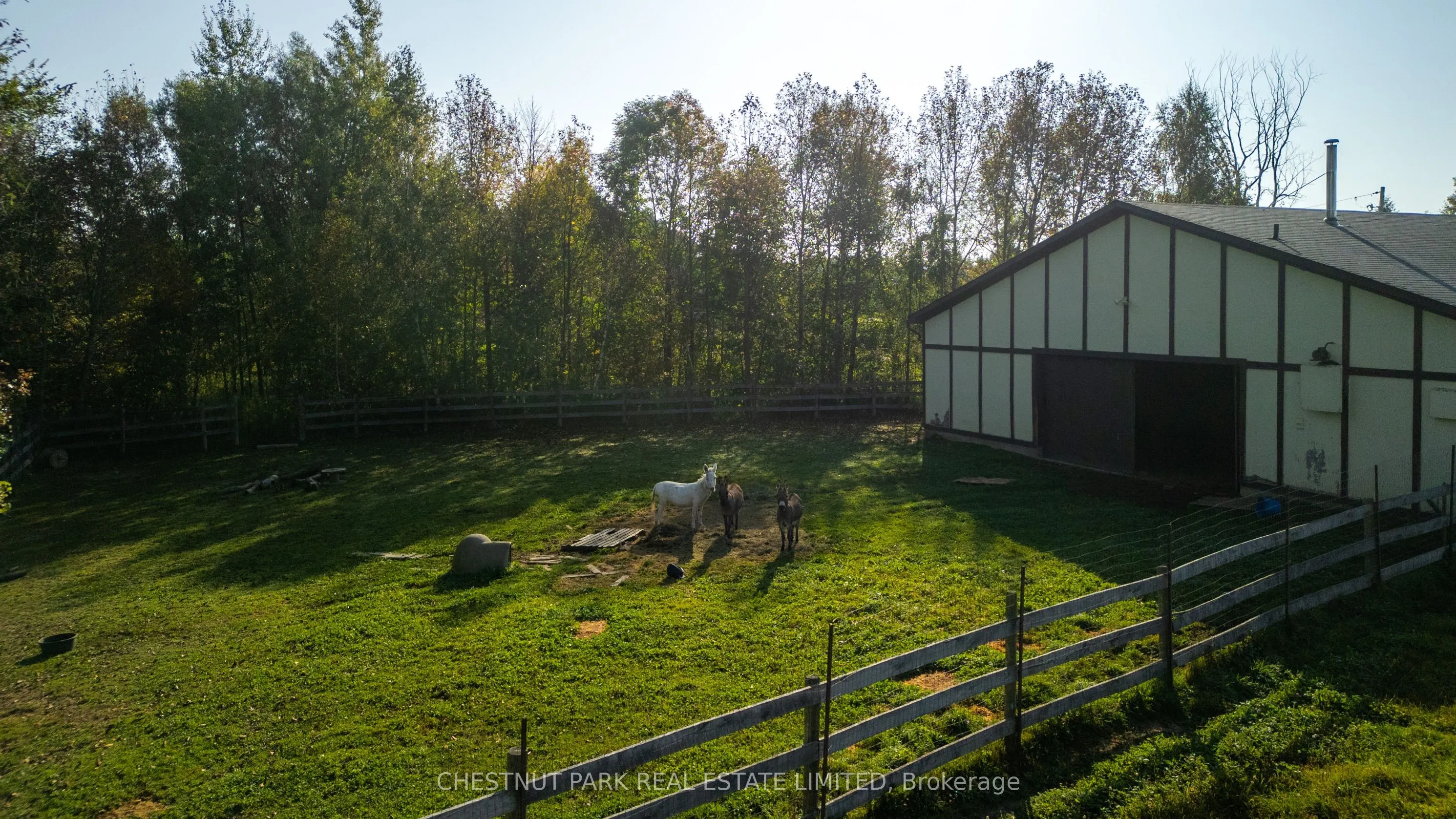 385081 20 Side Road
