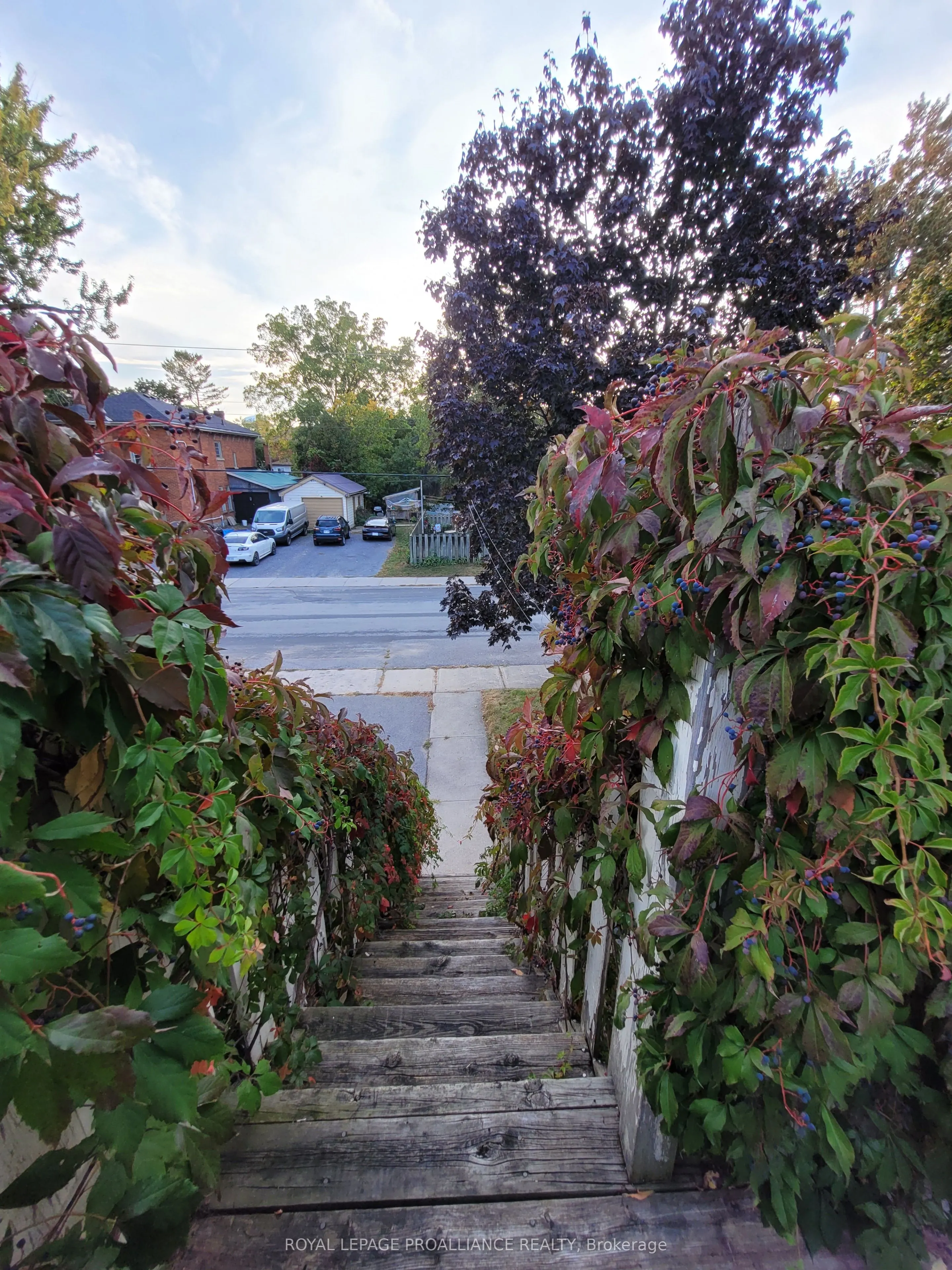 335 Albert Street