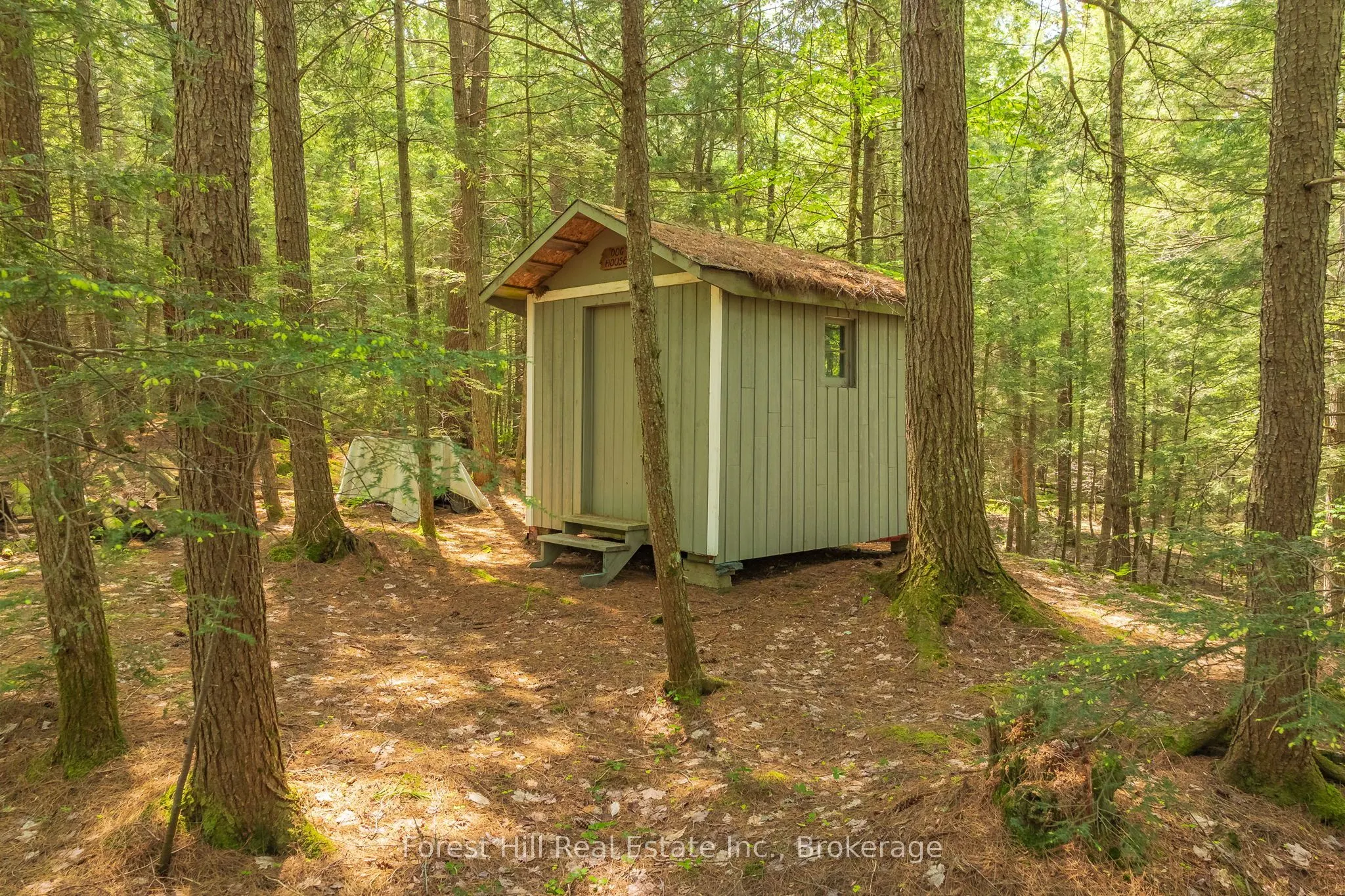 1274 Shoe Lake Road