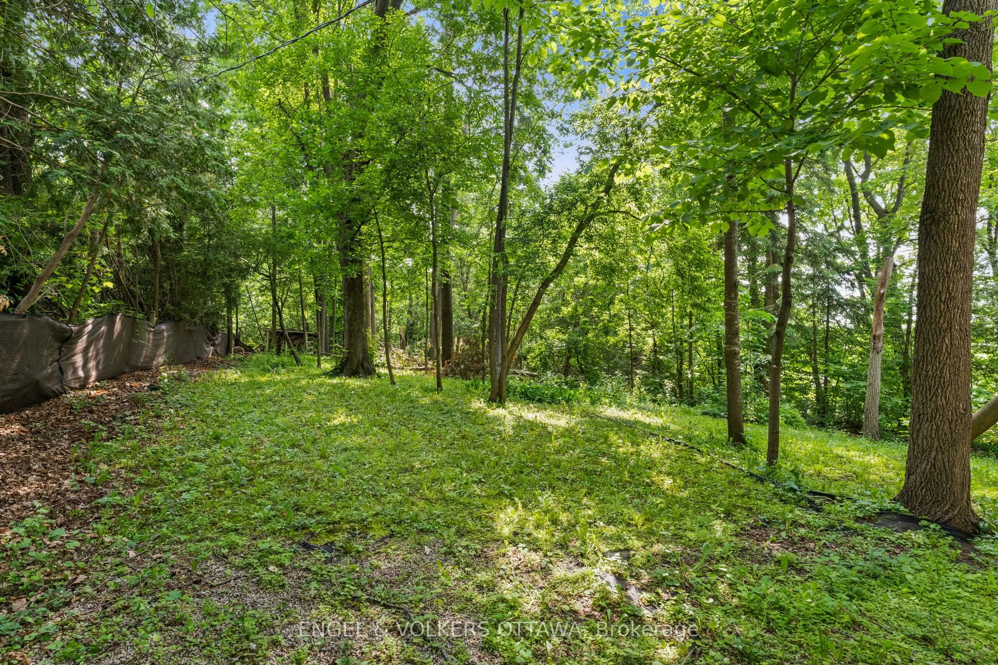 32 Ryeburn Drive