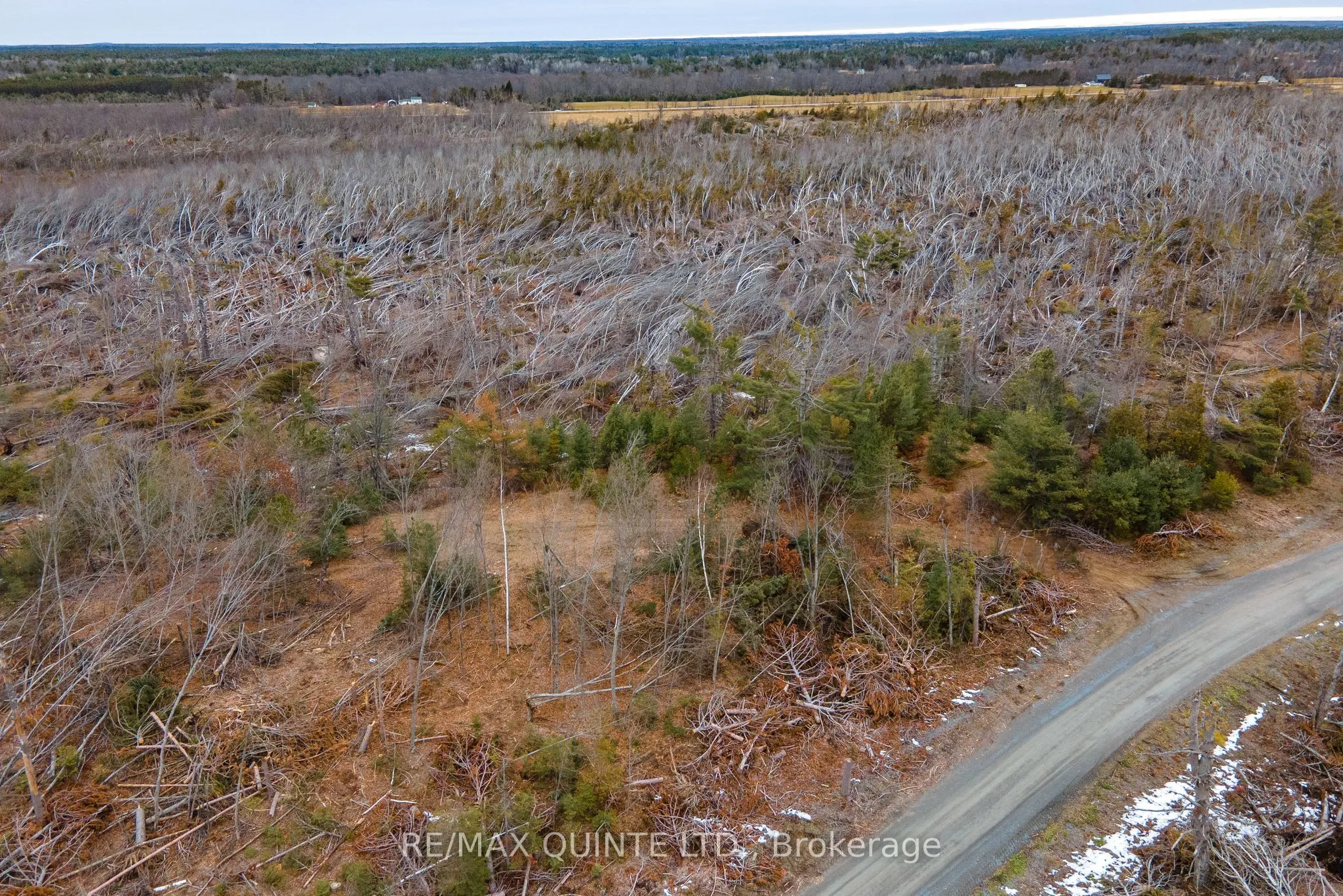 0 POTTER SETTLEMENT Road