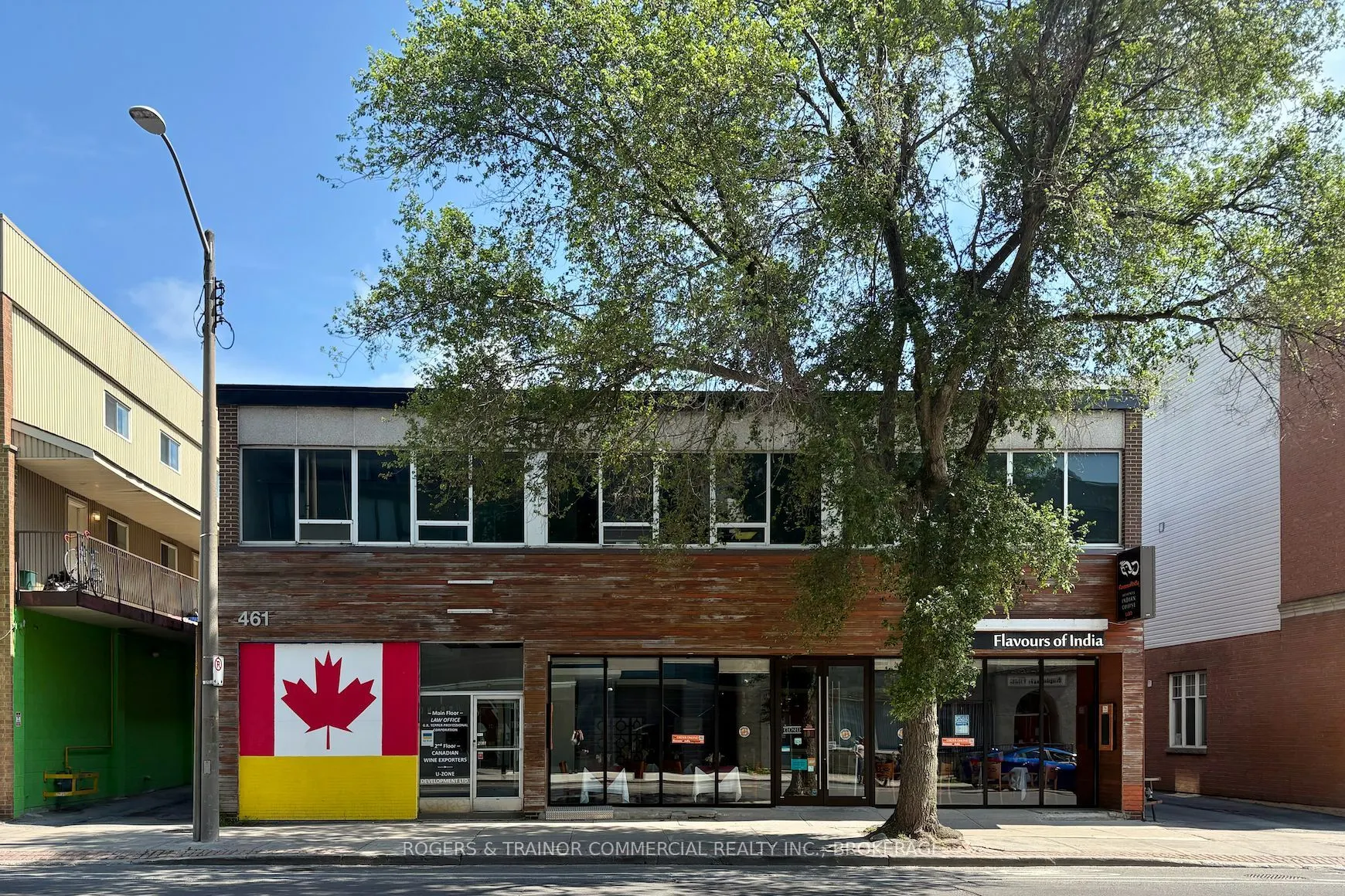 461 Princess Street, #Lower level