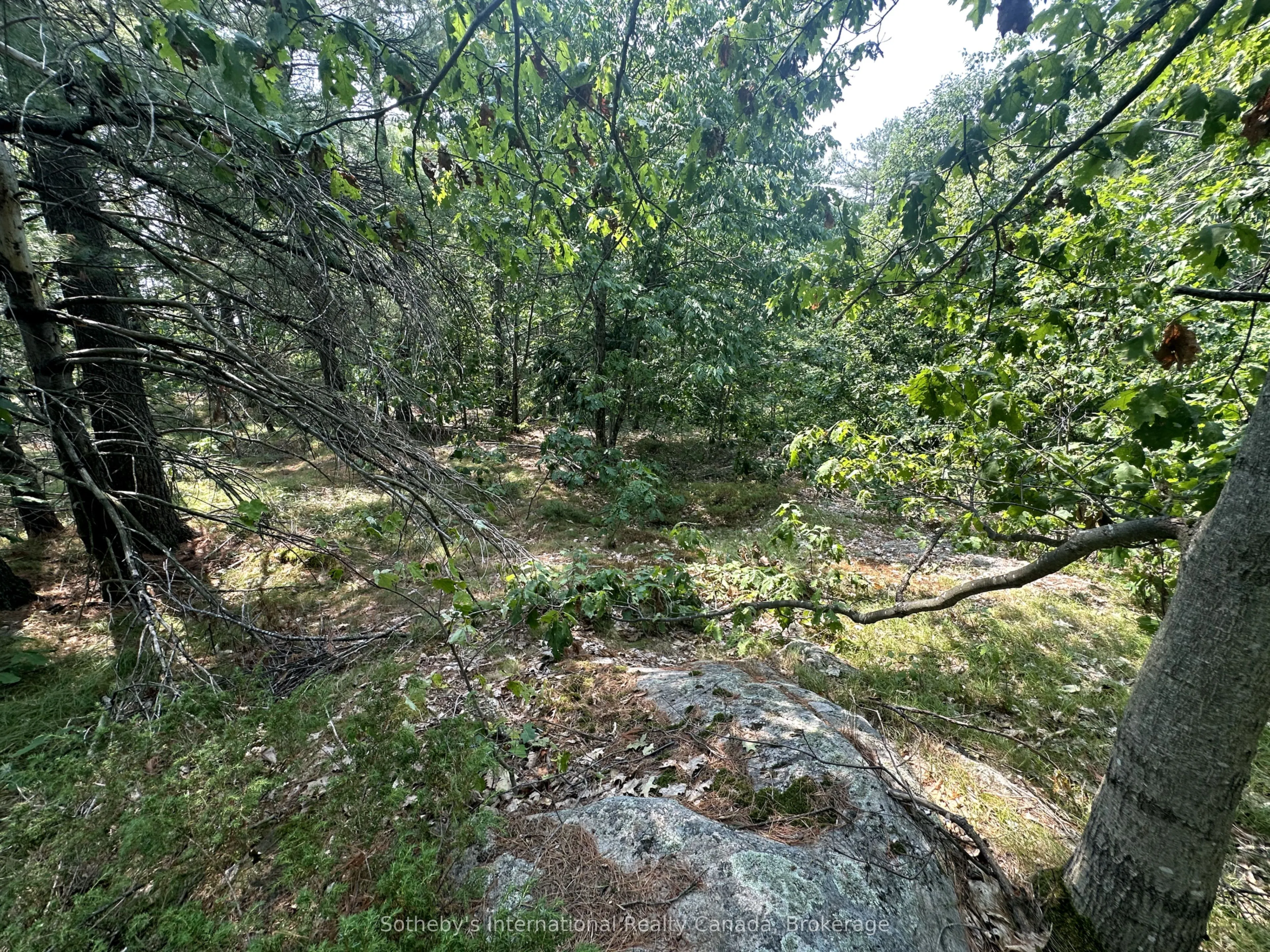 1114 Winhara Road
