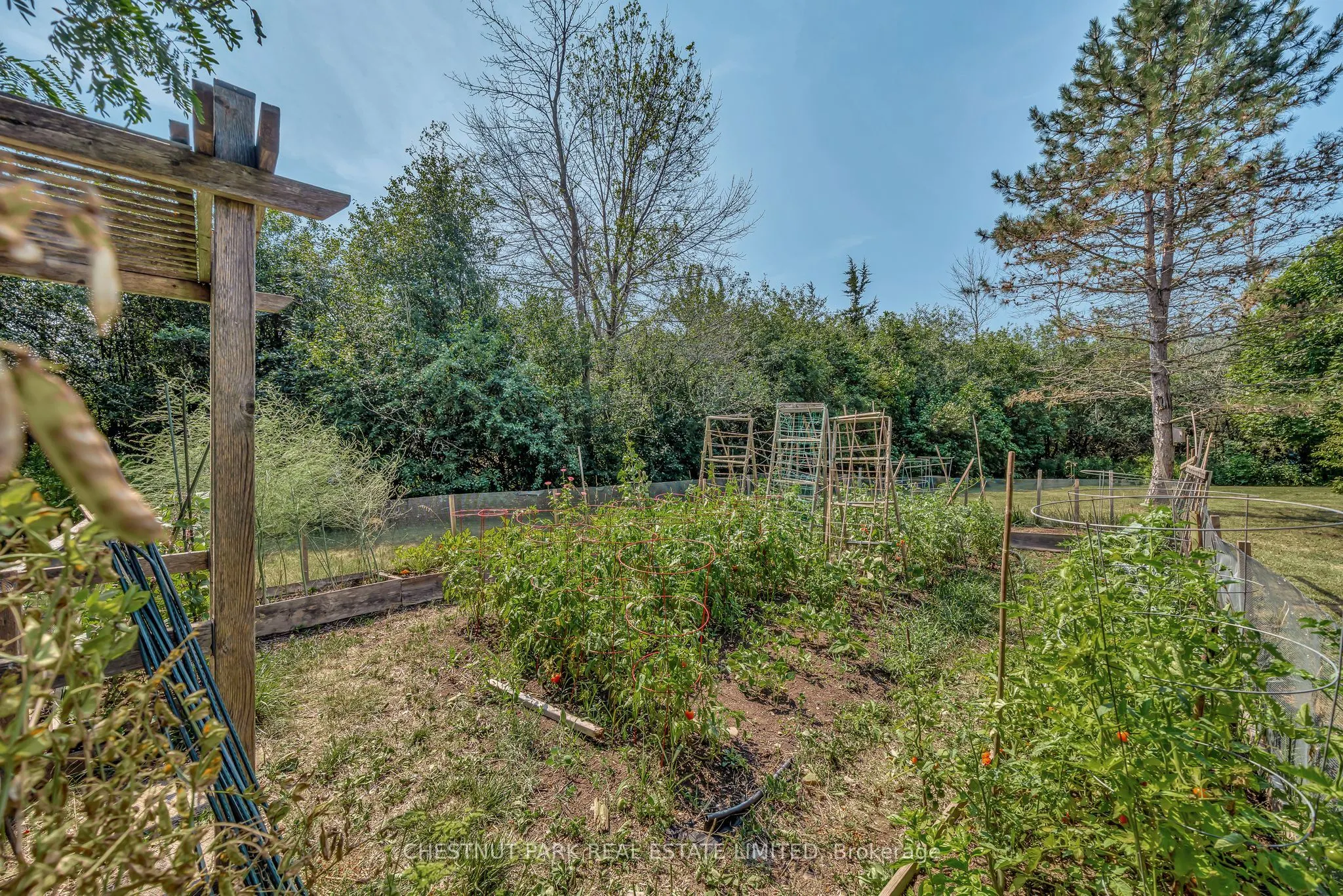 207 Carnrike Road