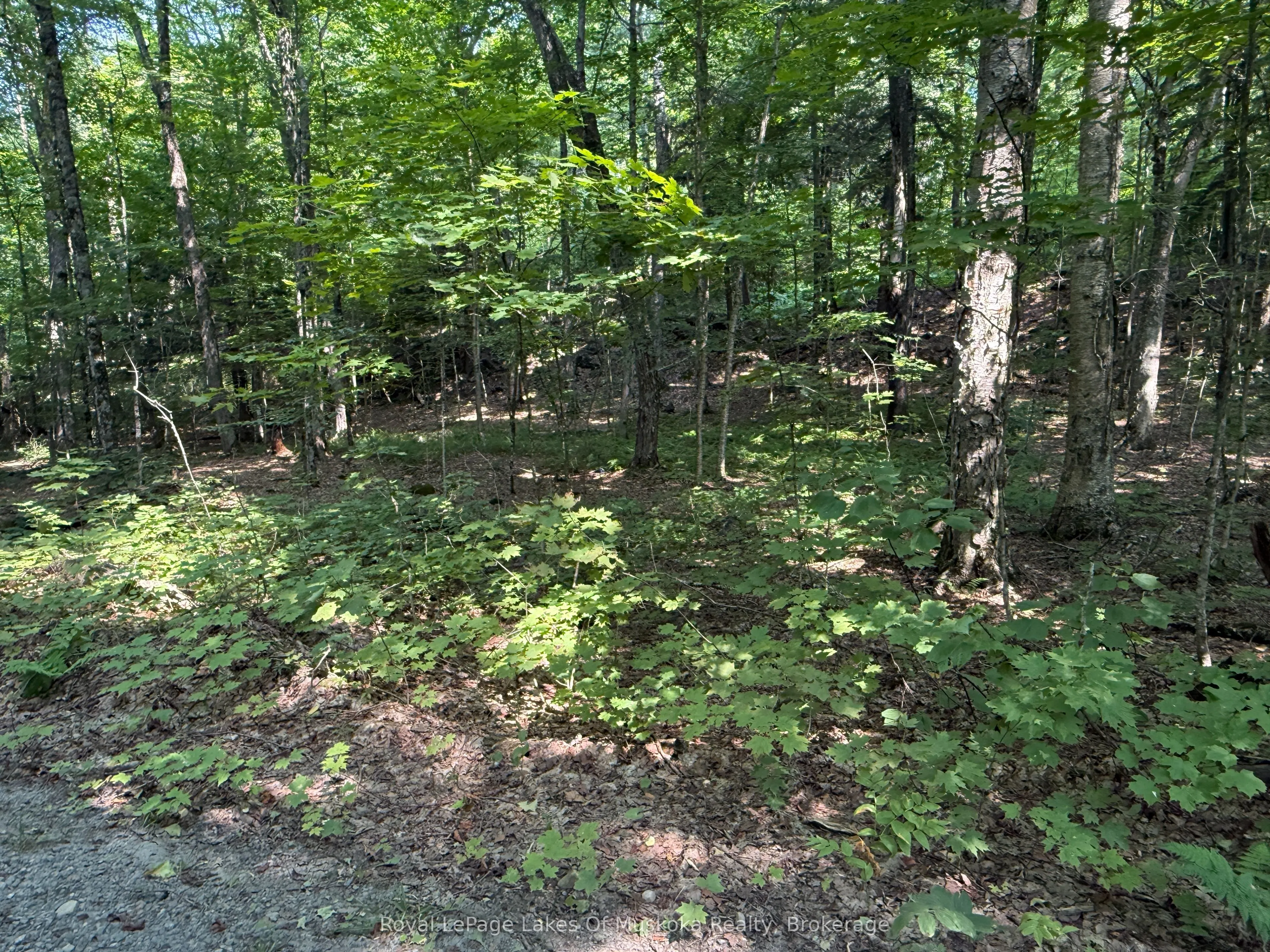 LOT 134 BRENNAN Circle