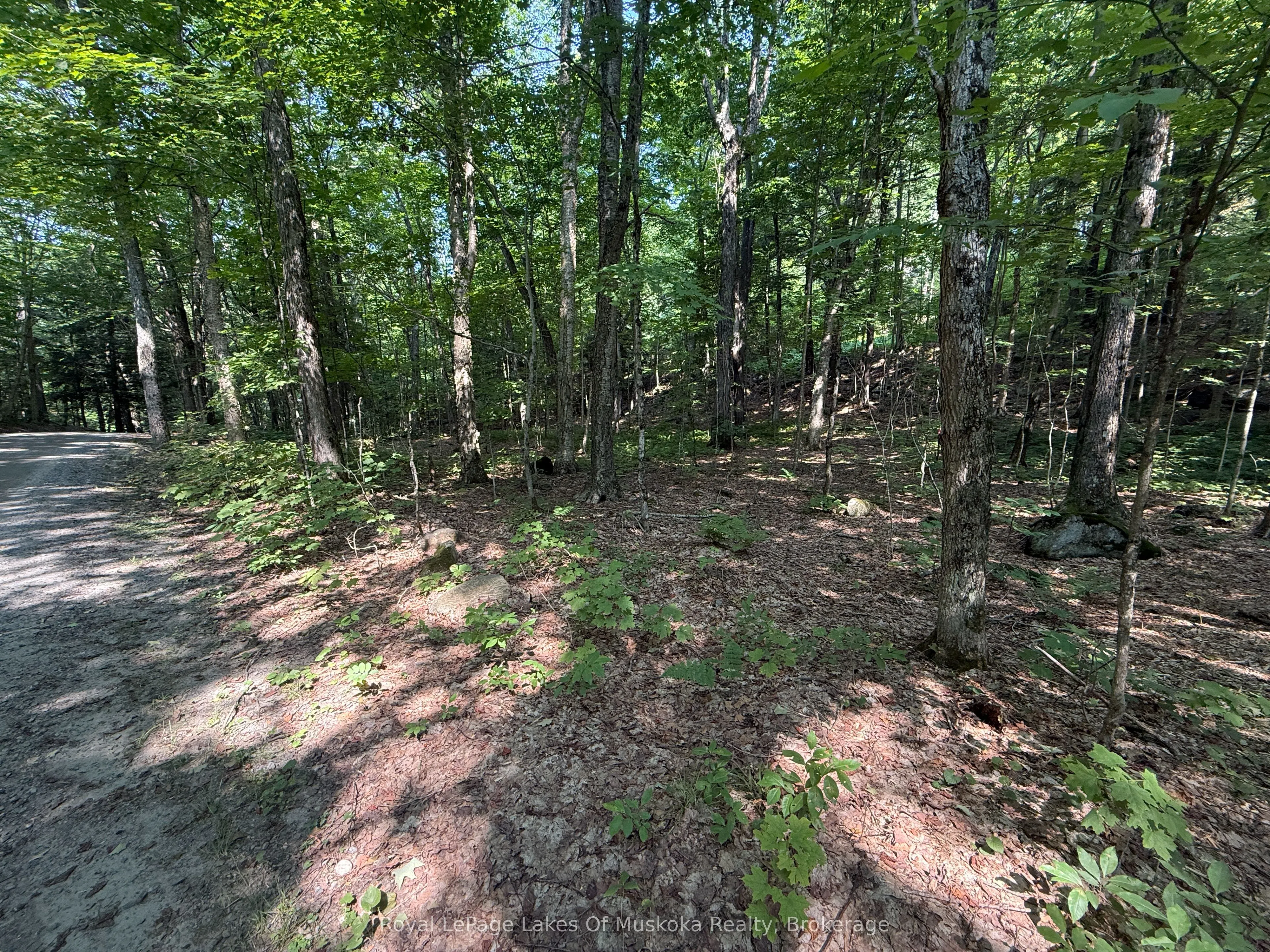 LOT 134 BRENNAN Circle