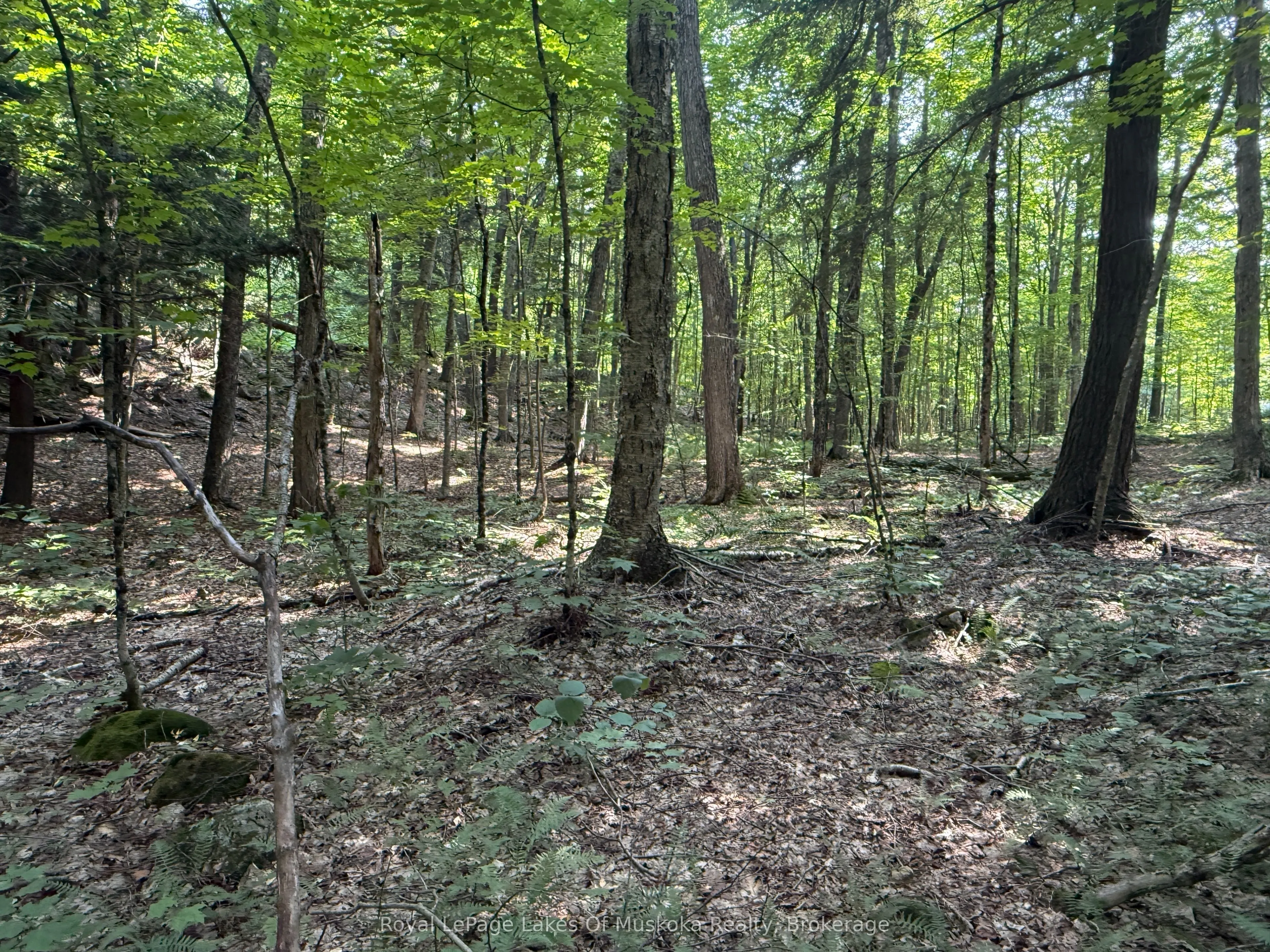 LOT 134 BRENNAN Circle