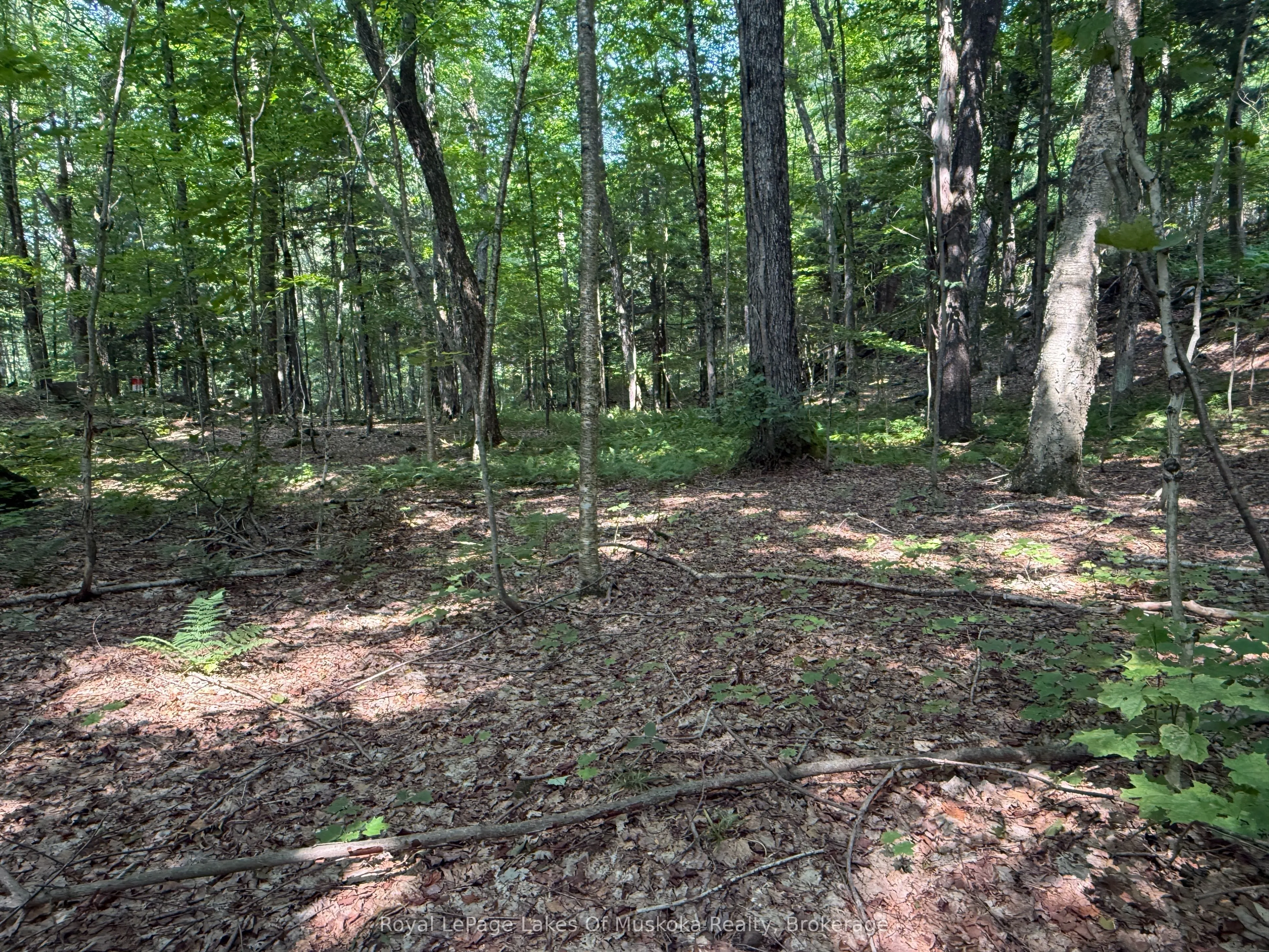 LOT 134 BRENNAN Circle