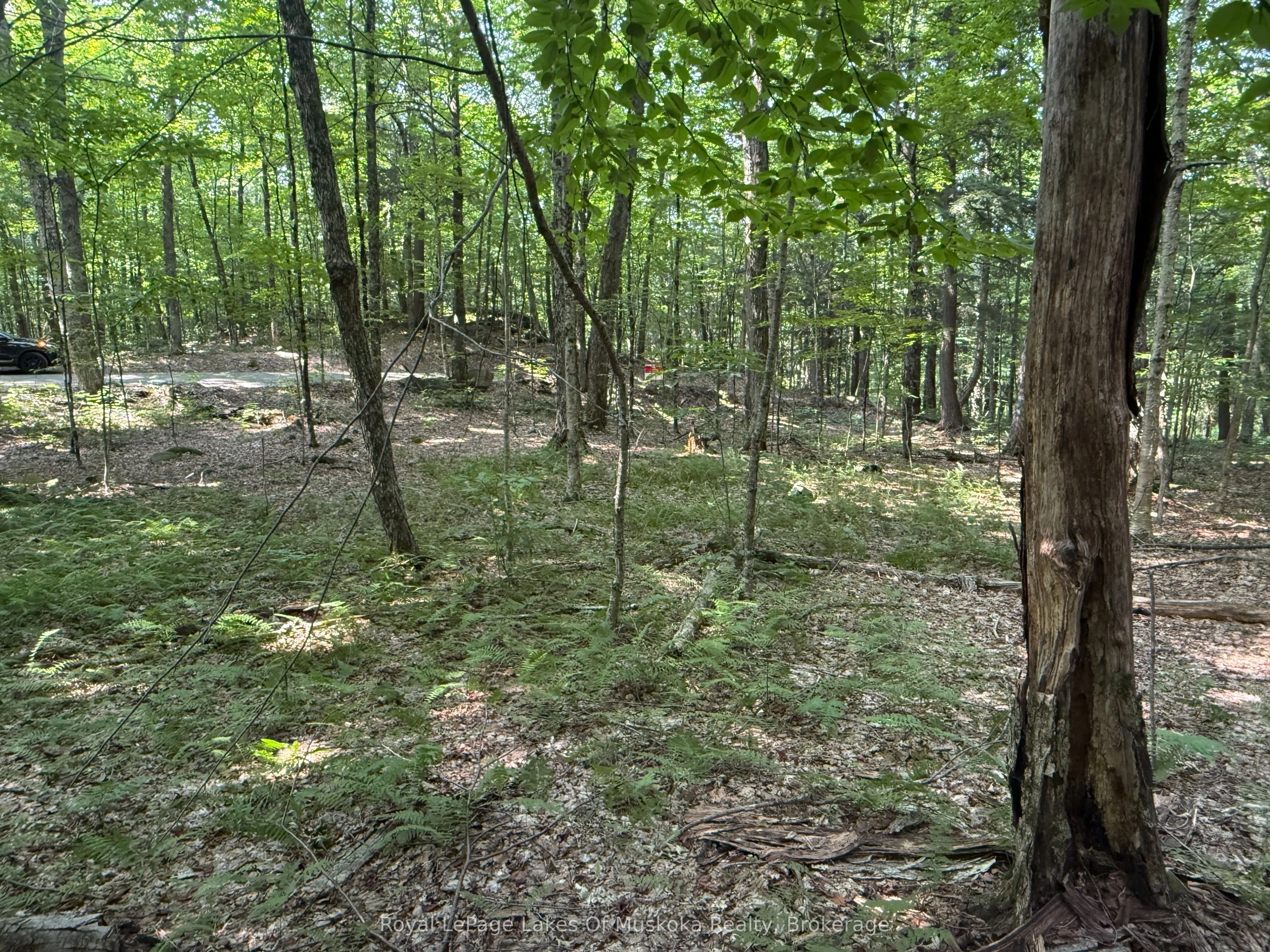 LOT 134 BRENNAN Circle